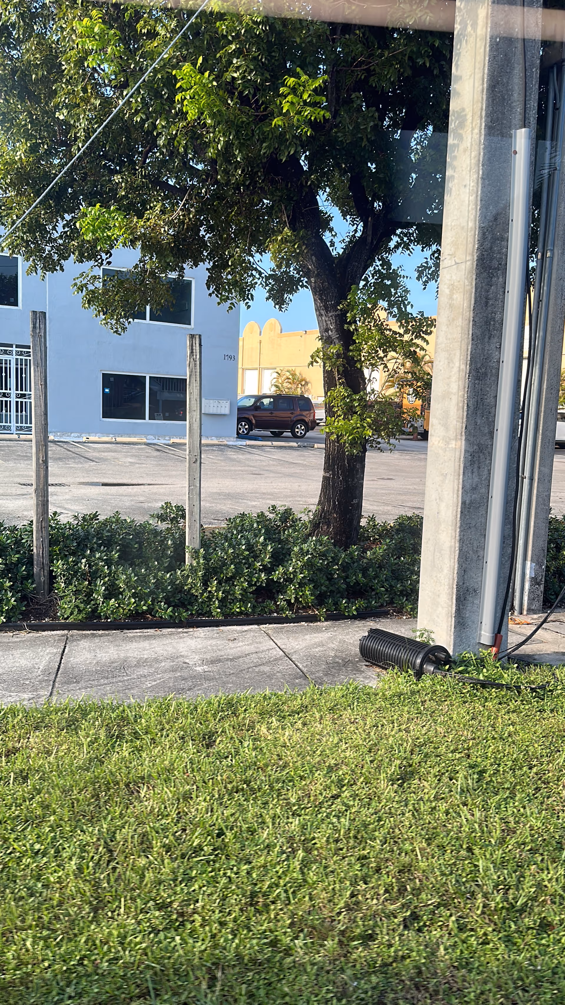Outdoor view shows a sidewalk, tree, shrubs, and a parked car near a building.