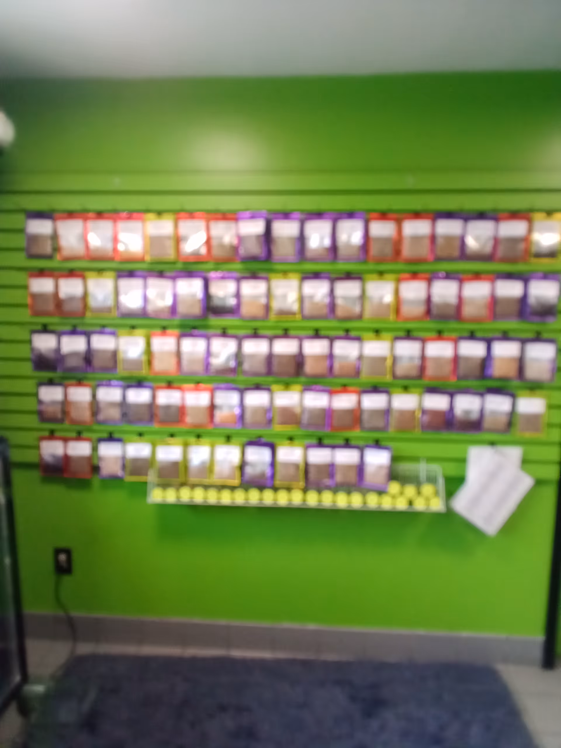 Bright green wall with rows of color swatch cards on display.