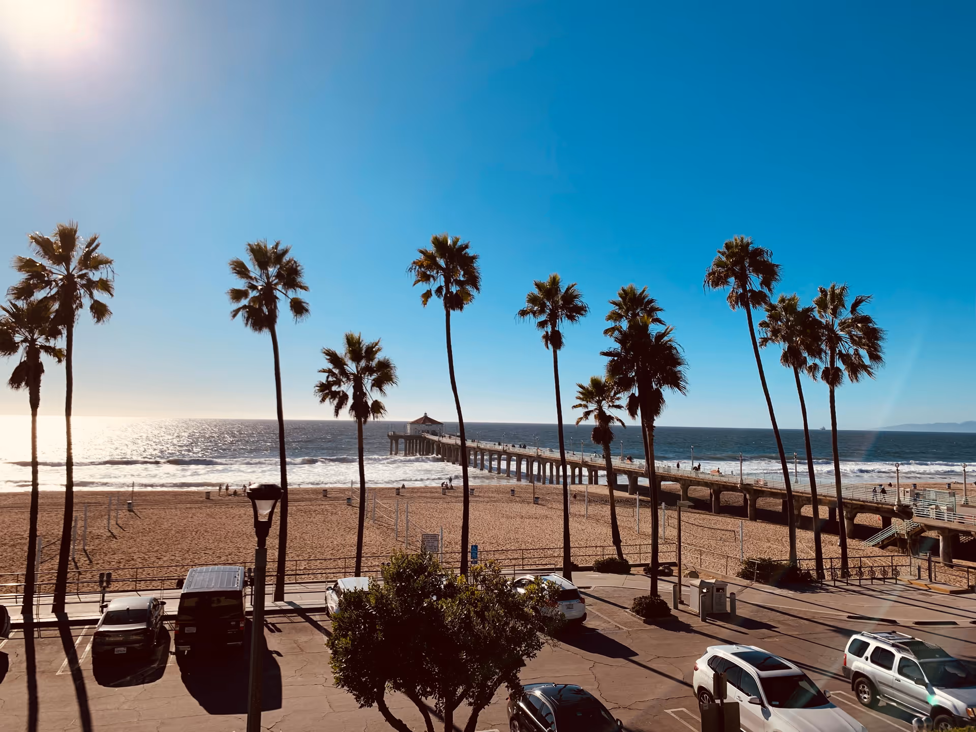 Sunlit beach scene with tall palm trees, a pier, and calm ocean under clear blue sky.
