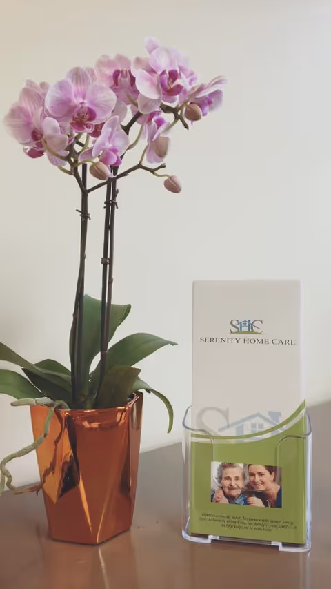 Indoor desk scene with a potted orchid and Serenity Home Care brochure.