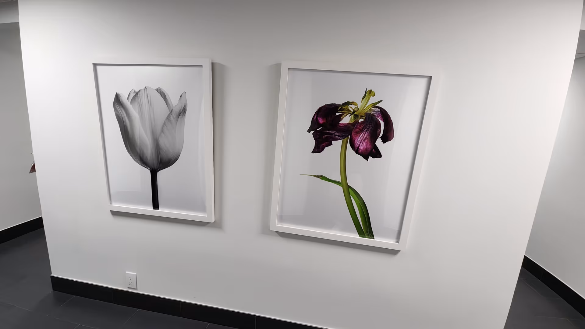 Two framed flower photographs hang on a white interior wall.