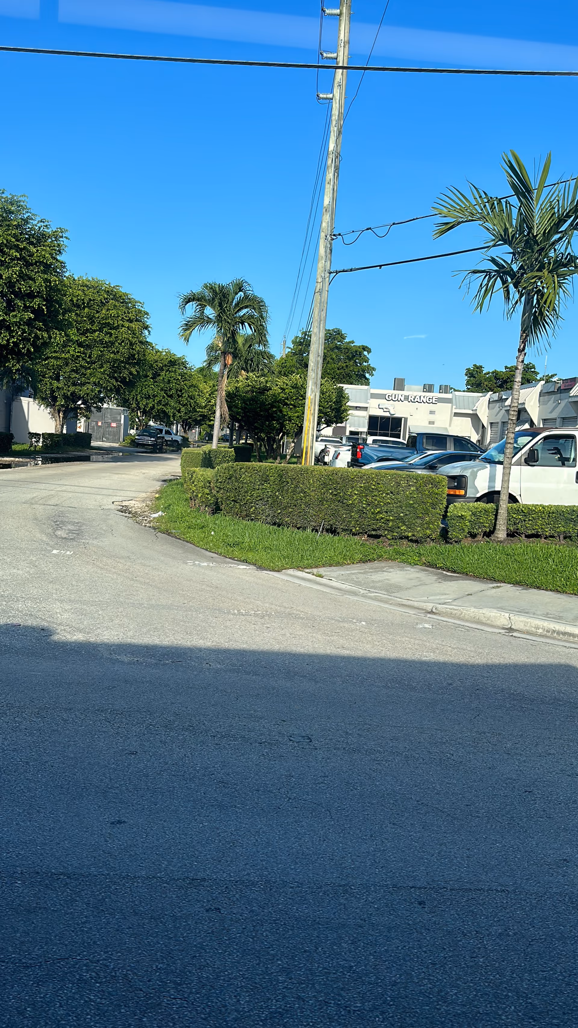 Exterior street view of a facility with palm trees, hedges, and parked cars.