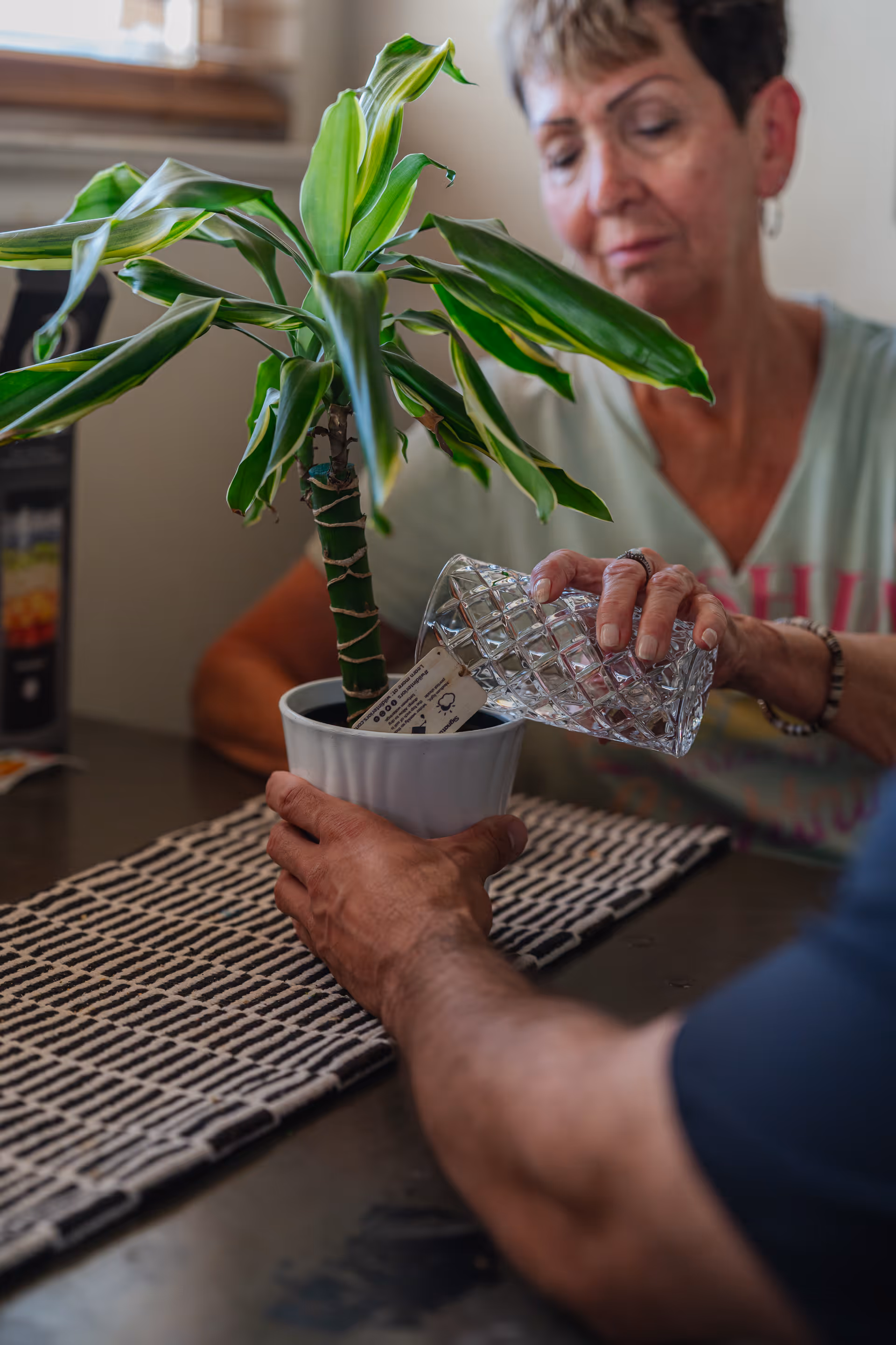 A woman waters a potted plant on a table indoors, as another person sits nearby.