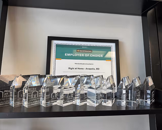 Glass awards and an 'Employer of Choice' certificate on a shelf.