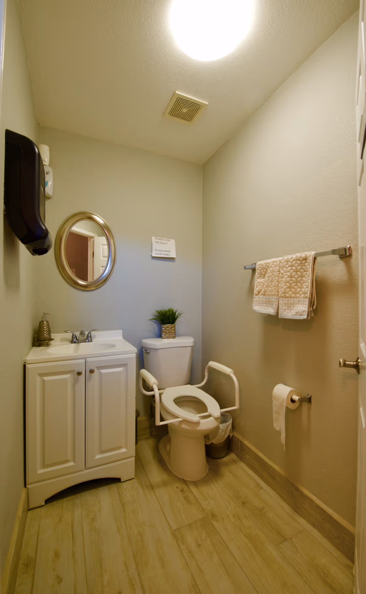 Accessible bathroom with grab bars, small sink vanity, mirror, towels, and plant on toilet tank.
