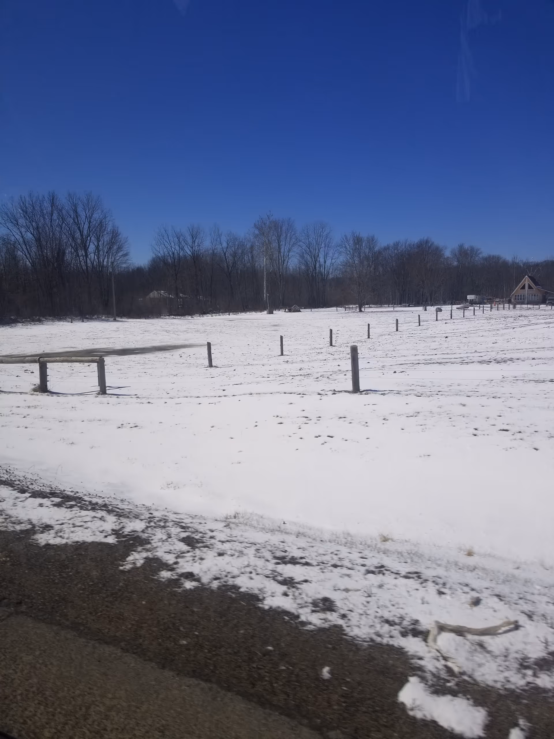 Snow-covered field with fence posts, bare trees, and a distant building under a blue sky.