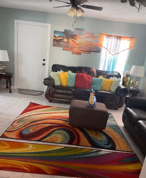 Cozy living room with colorful pillows, rug, sofa, and tropical wall art.