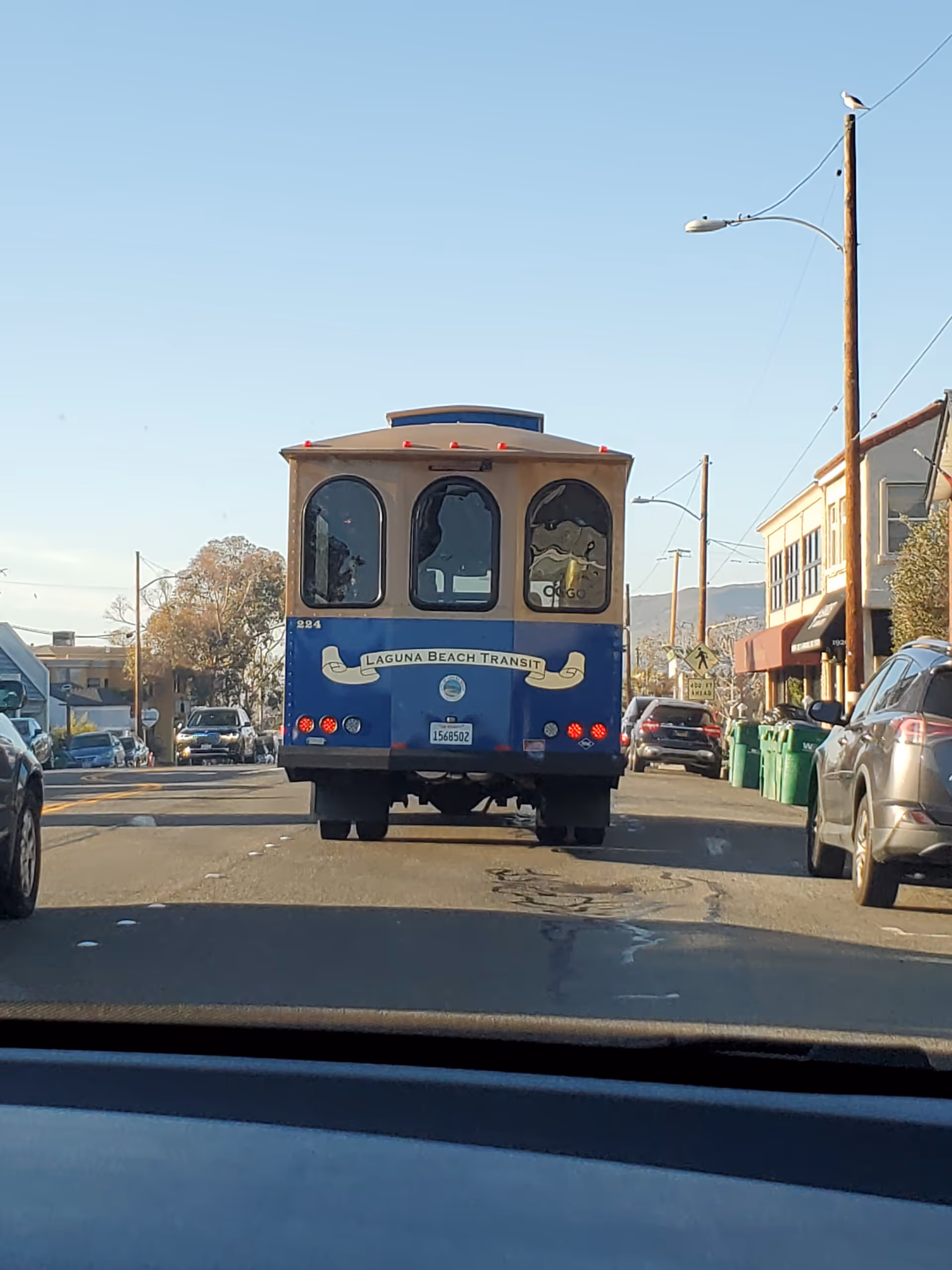 Rear view of a blue Laguna Beach Transit bus on a street with cars and storefronts.