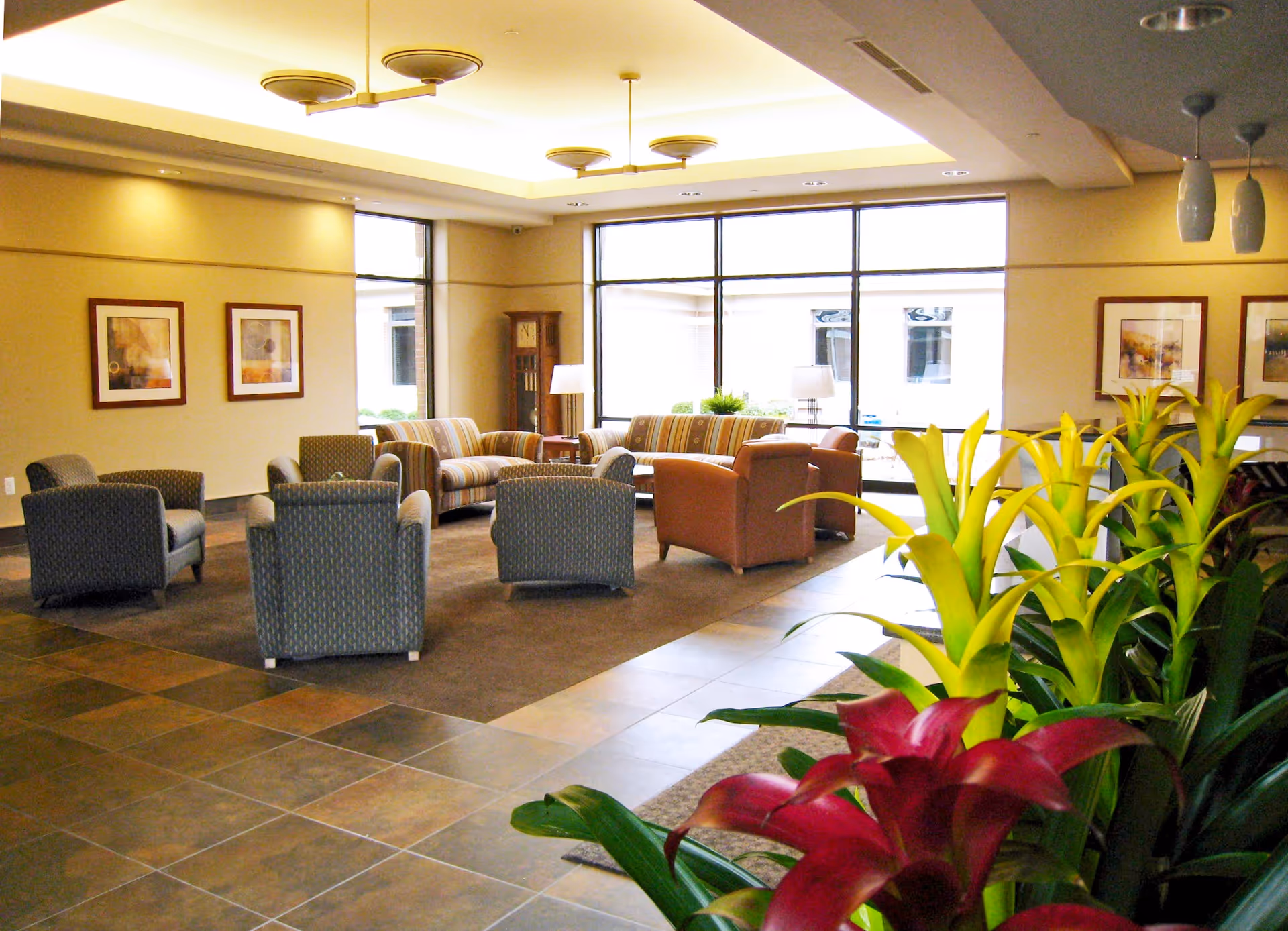 Spacious living room in a senior facility with chairs, sofas, plants, and large windows.