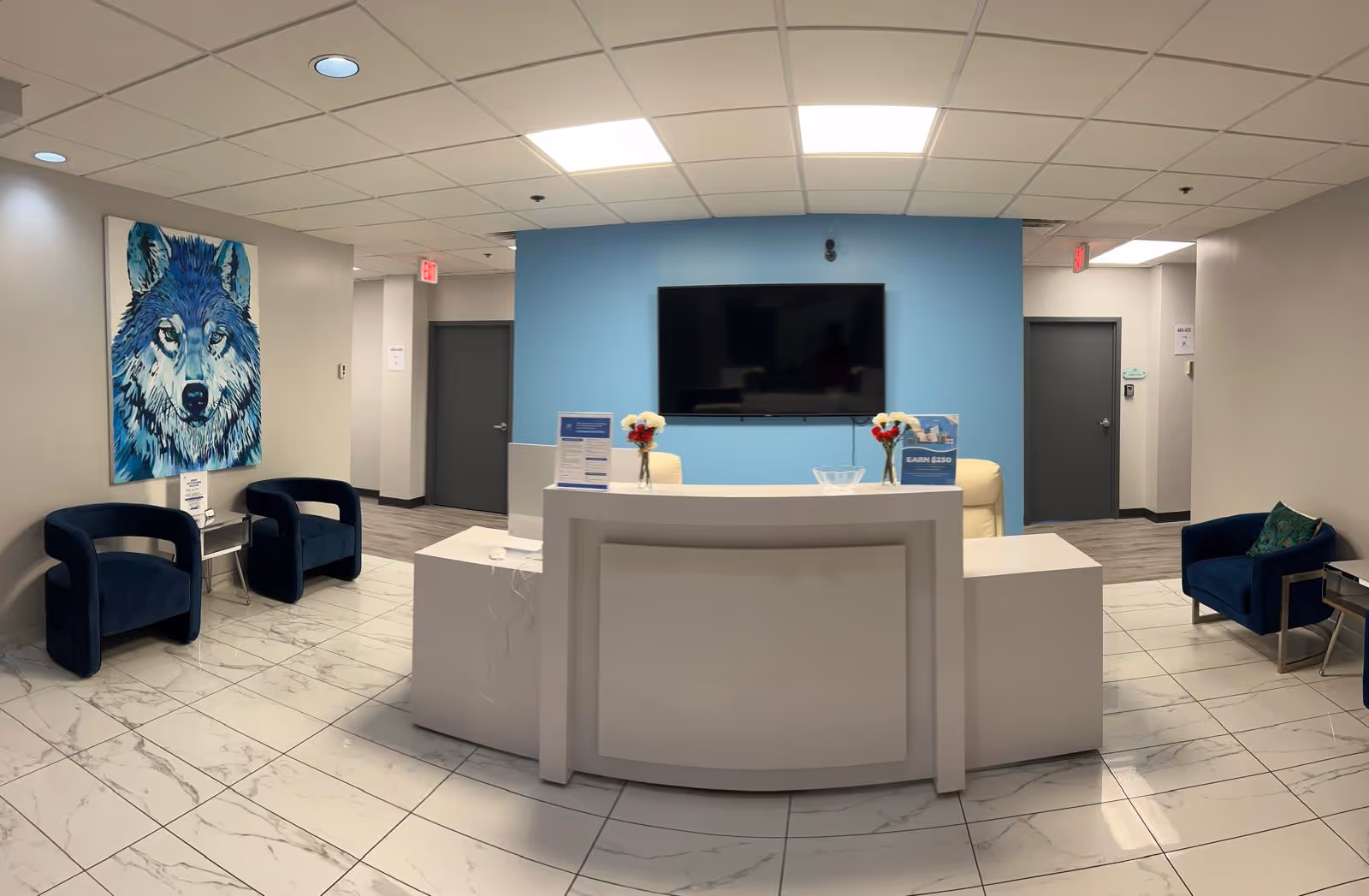 Modern lobby with reception desk, blue accent wall, and a blue wolf painting on the left.
