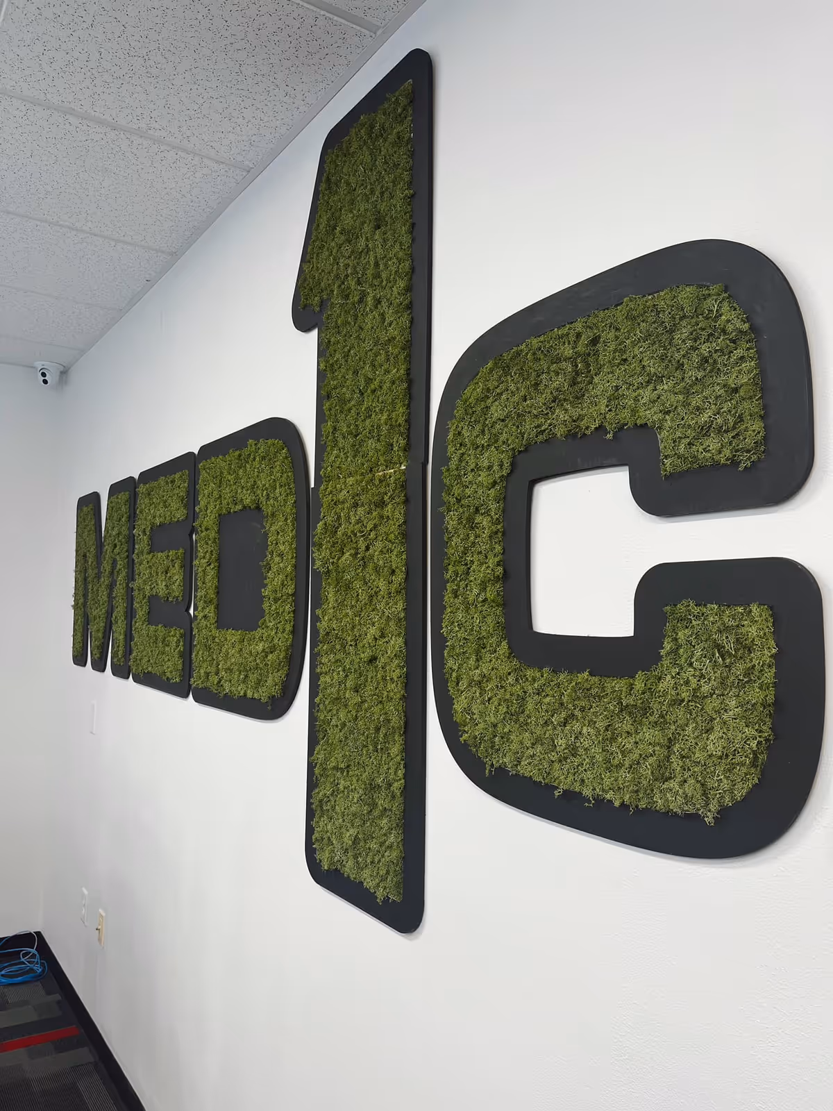 Interior wall with moss-filled letters spelling Med1Care along a white surface.