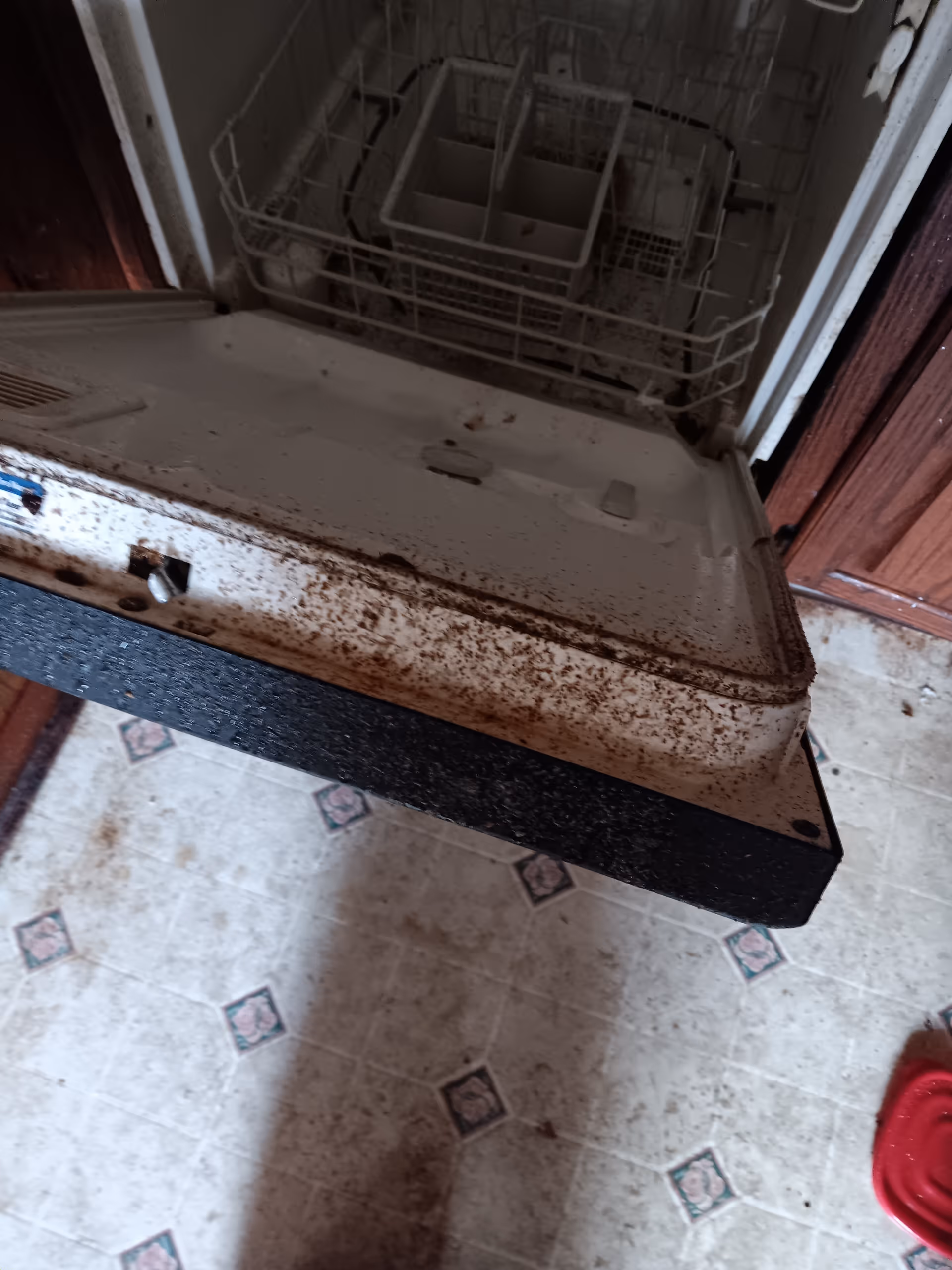 Open dishwasher with rust and grime in a kitchen.