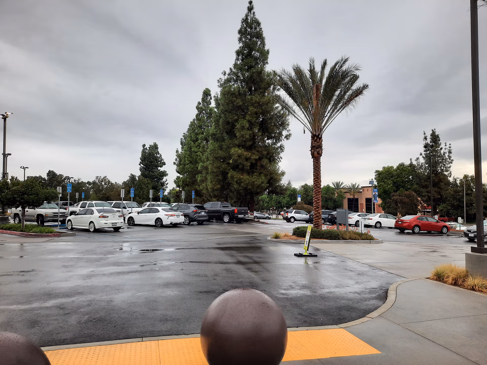 Parking lot in front of Redlands Community Hospital with palm trees and wet pavement.