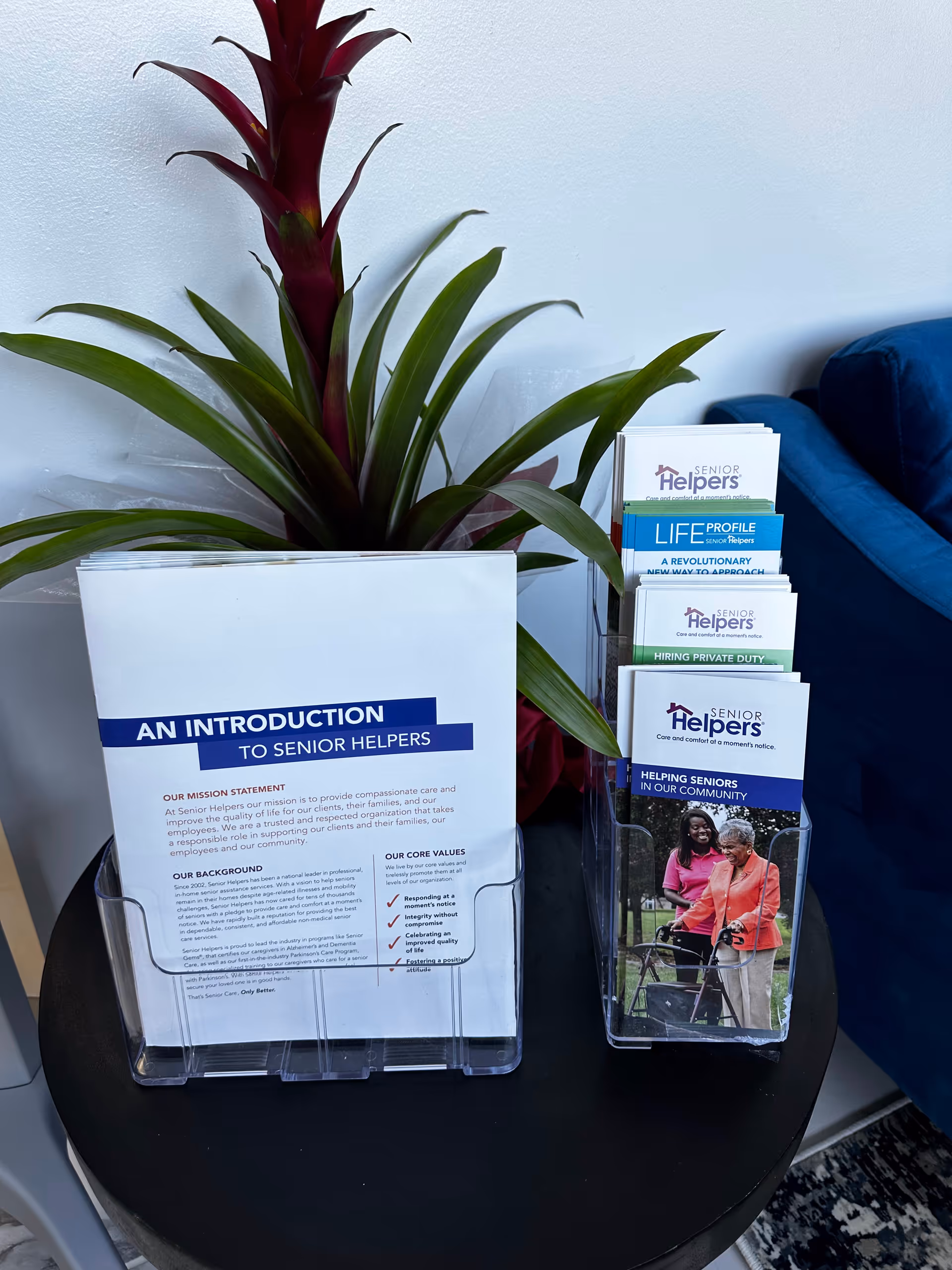 Indoor lobby area with a plant and Senior Helpers brochures on a round table.