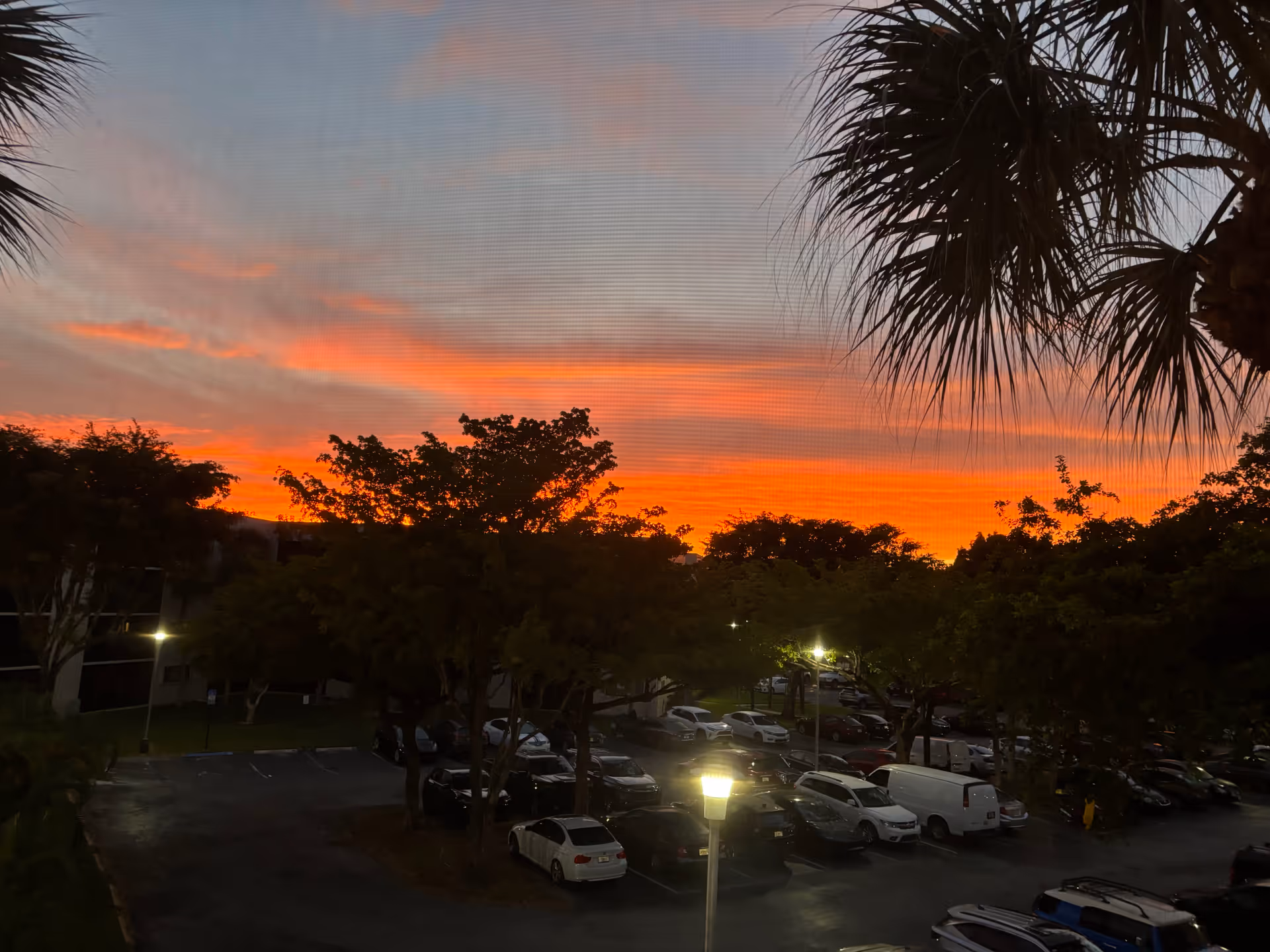 Sunset over a parking lot with trees and street lights at Mary care and services.