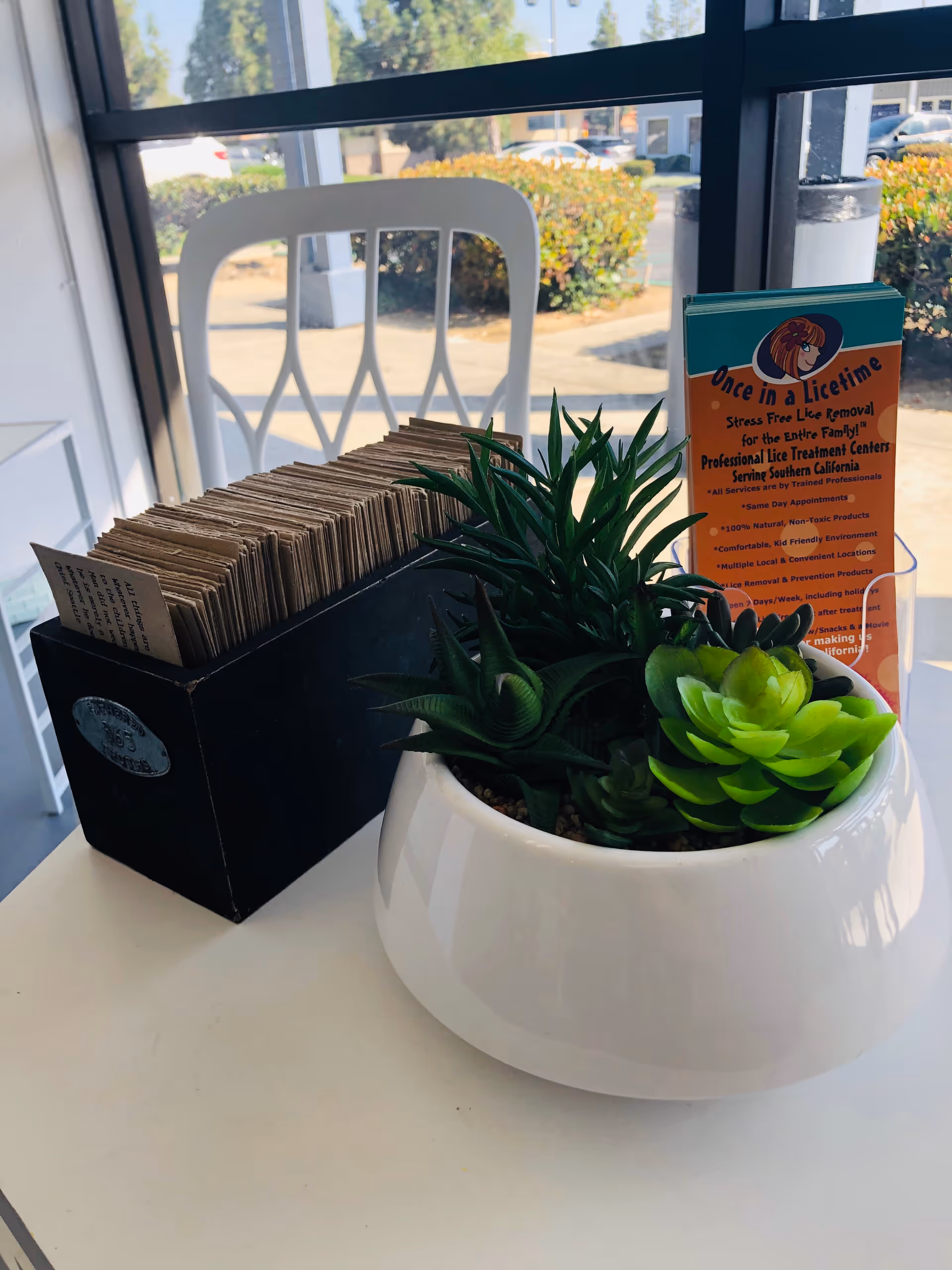 Indoor table with a white planter of succulents and a brochure by a window.