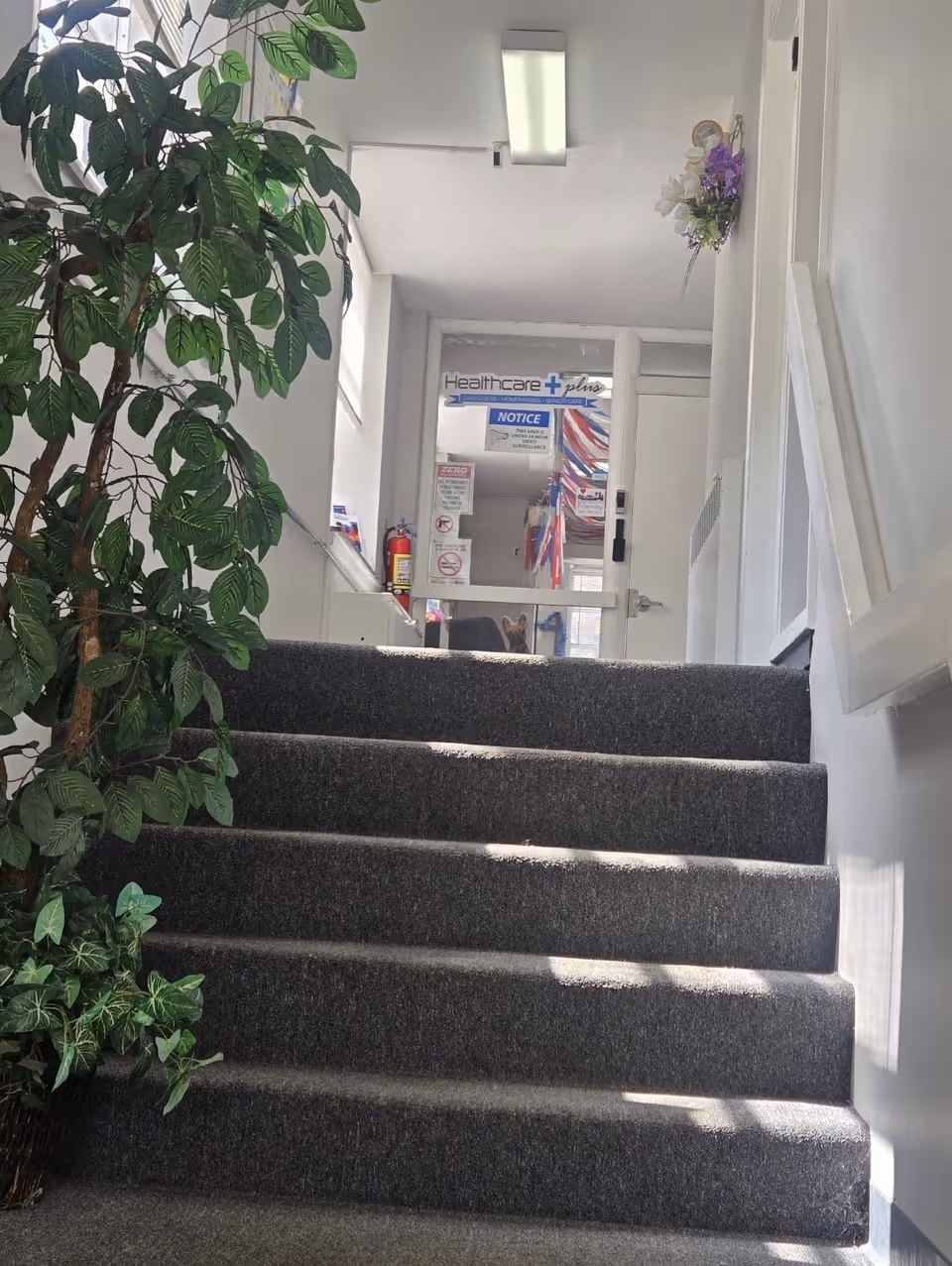 Indoor stairway leading to a reception area with plants and a glass door.
