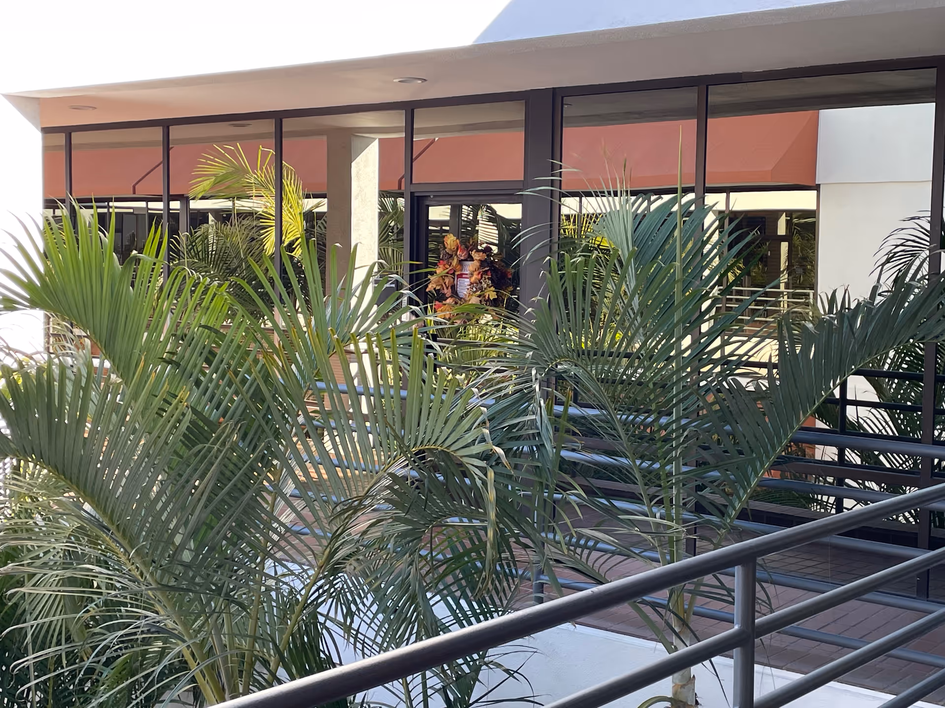 Exterior view of a SYNERGY HomeCare building with glass doors and tropical plants.