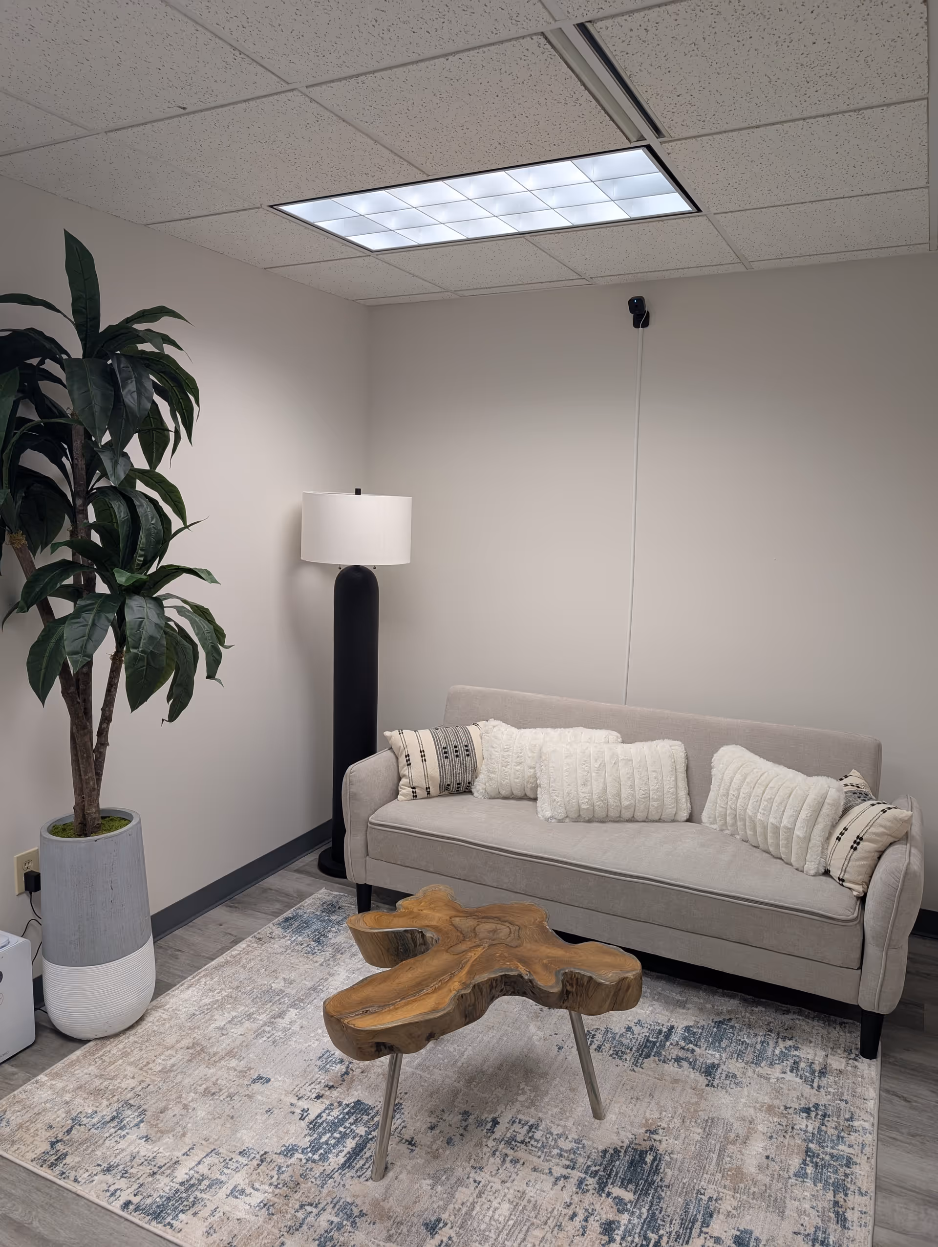 Cozy lounge area with sofa, coffee table, lamp, rug, and a tall plant.