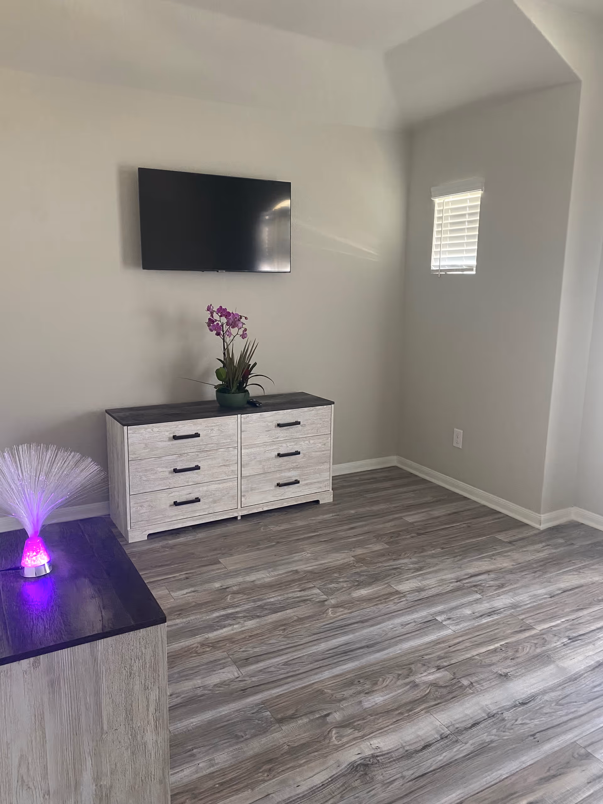 Senior living room with mounted TV, dresser, plant, and laminate flooring.