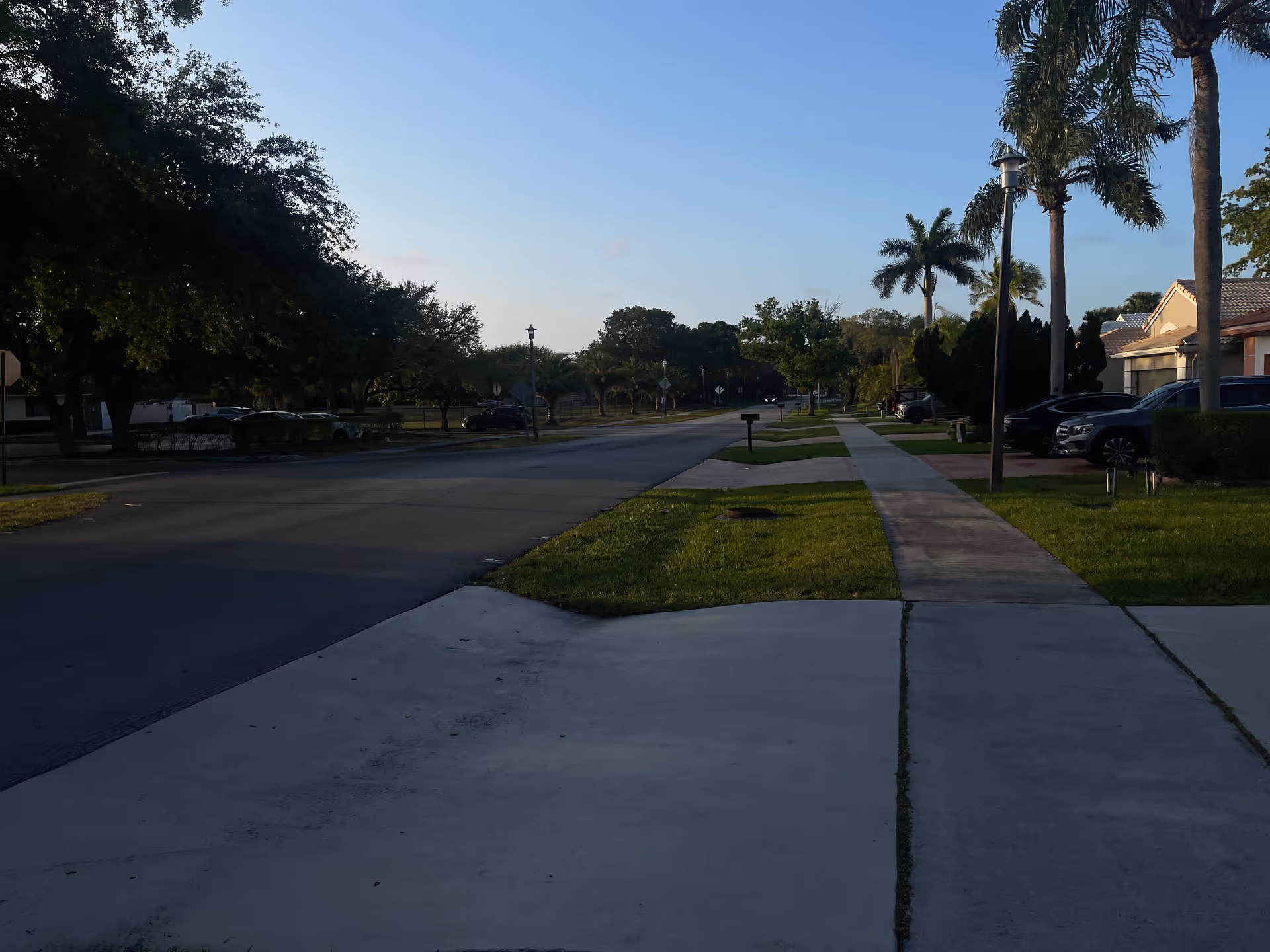A quiet suburban street with sidewalks, lawns, and palm trees.