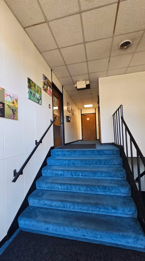 Narrow hallway with blue-carpet stairs, white walls, ceiling tiles, and framed artwork.