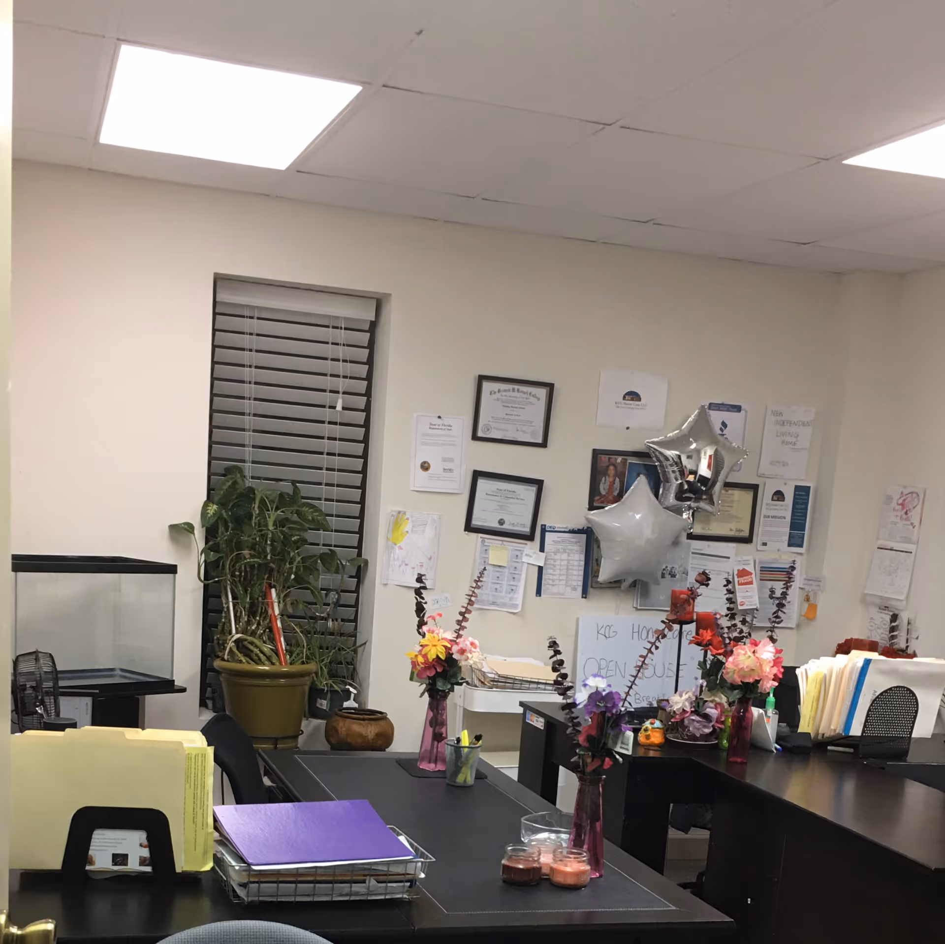 Office workspace with wall certificates, flower arrangements, and a potted plant.