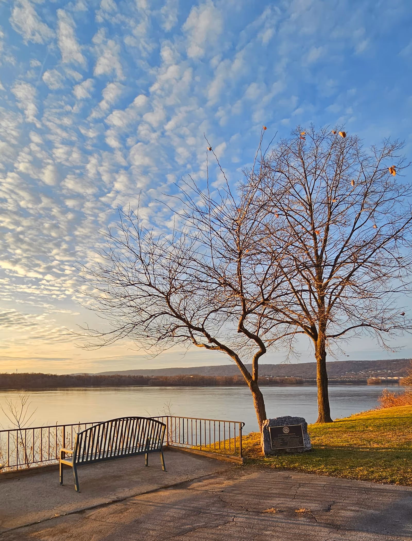 An empty bench beside a railing by a calm river, with leafless trees and blue sky.