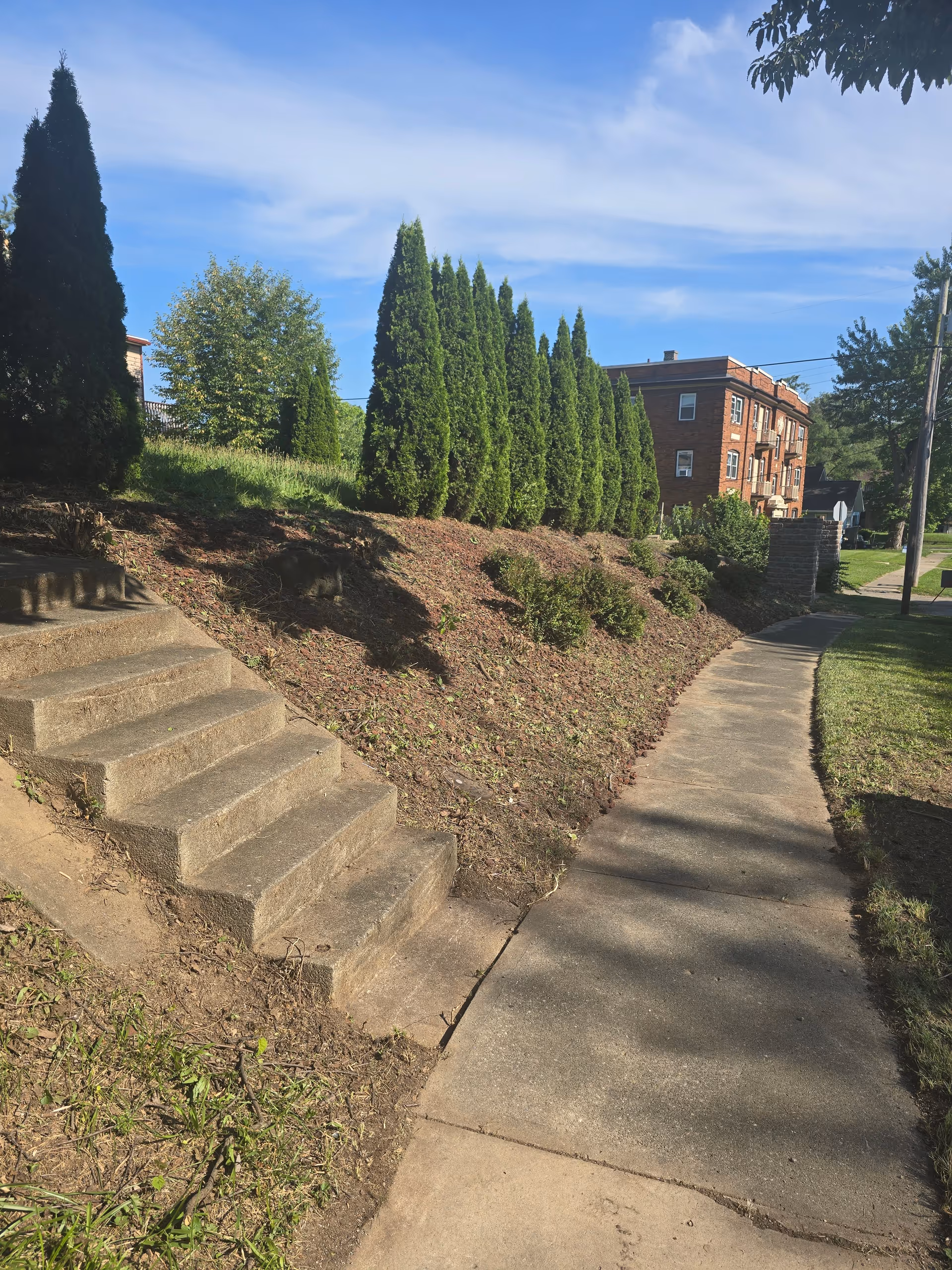 An outdoor sidewalk with steps beside a brick building and shrubs.