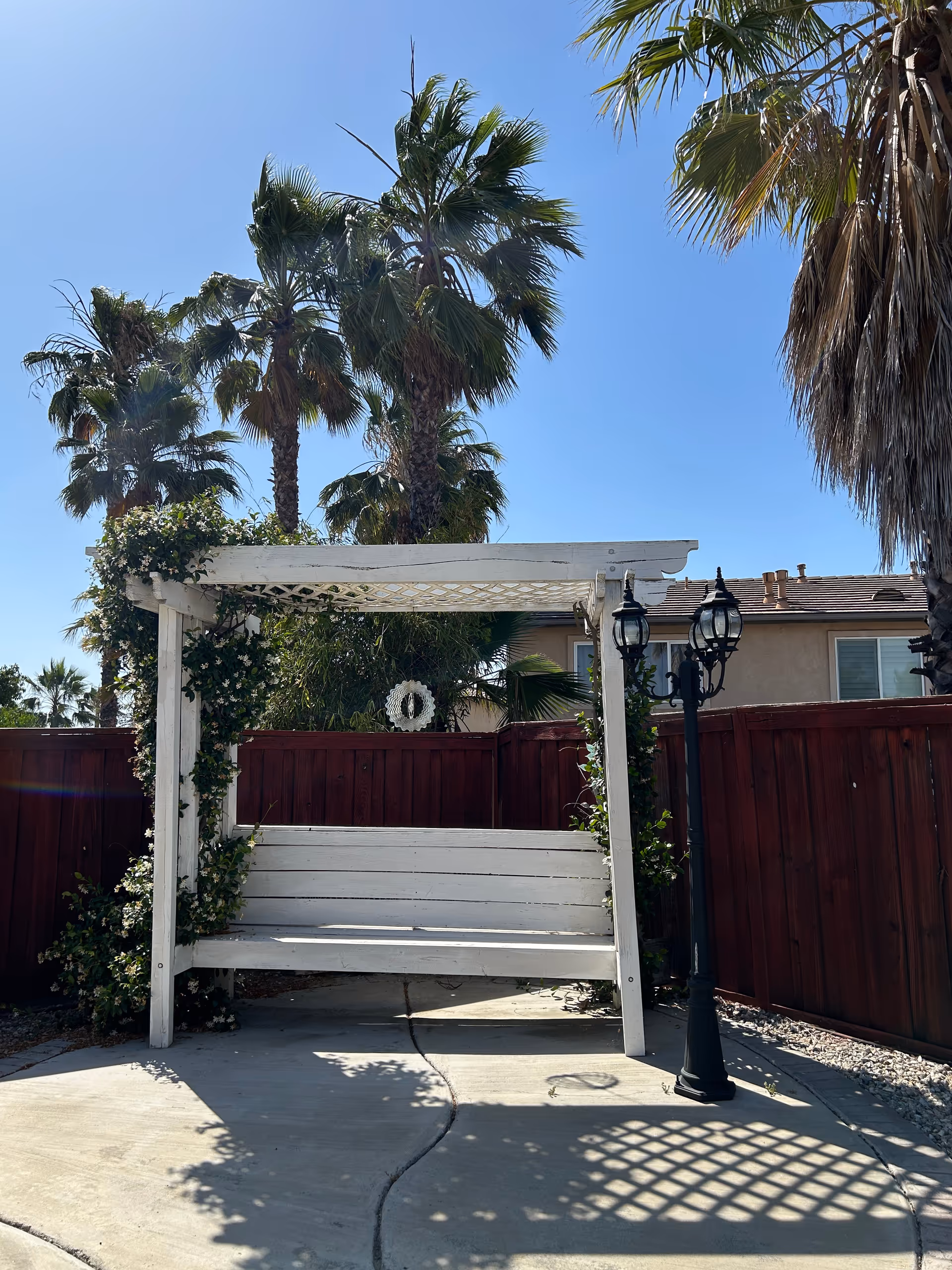 A white outdoor swing bench under a pergola in a sunny courtyard with palm trees.