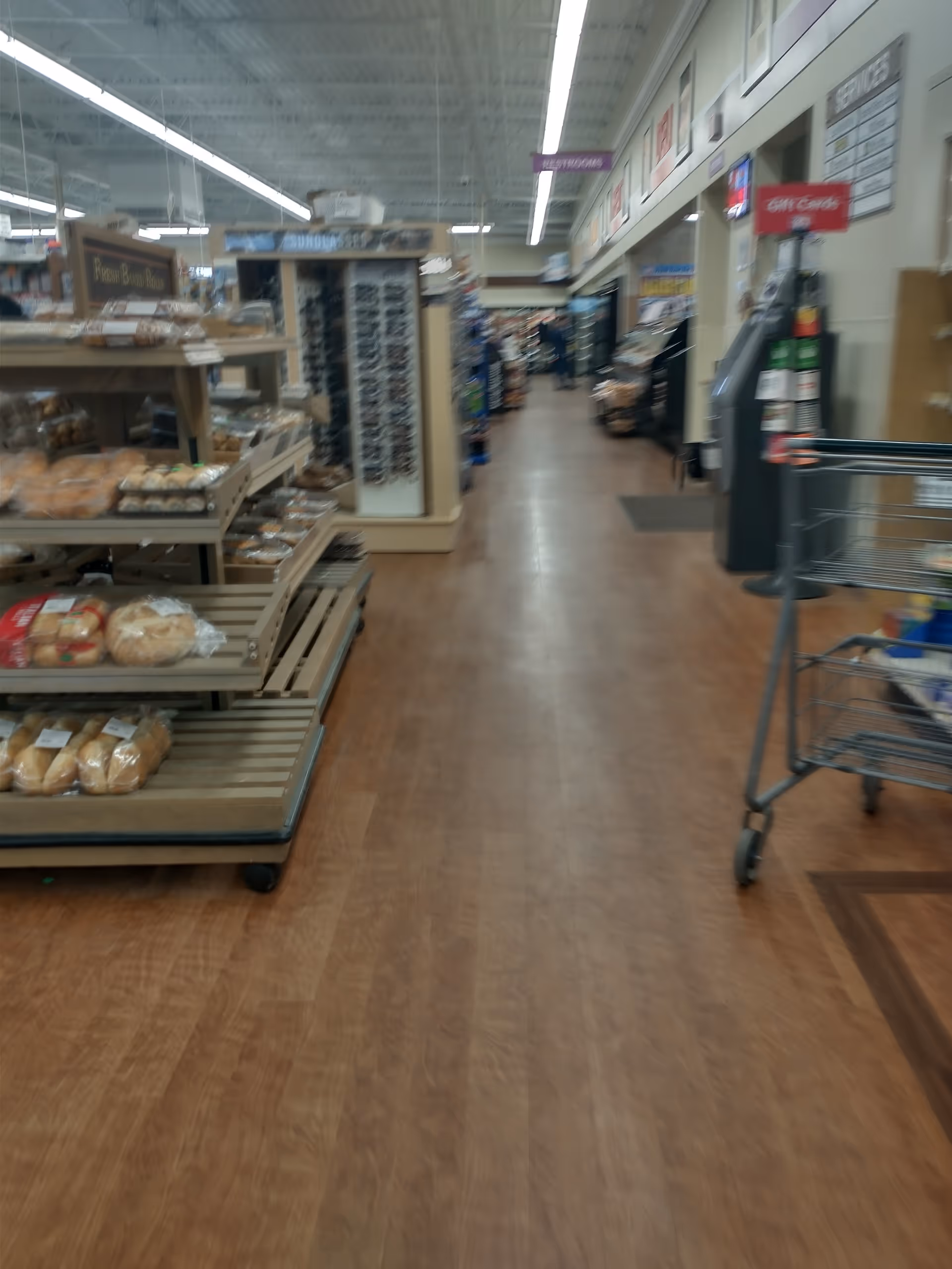 Inside a Discount Drug Mart, bread displays line the left and a shopping cart sits right.