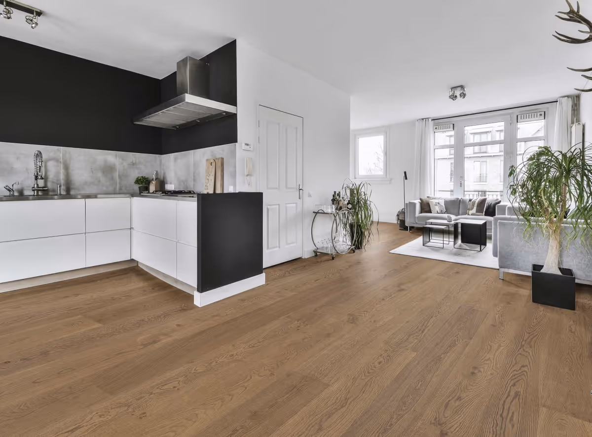 Open concept kitchen and living area with white cabinets, black accents, and plants.