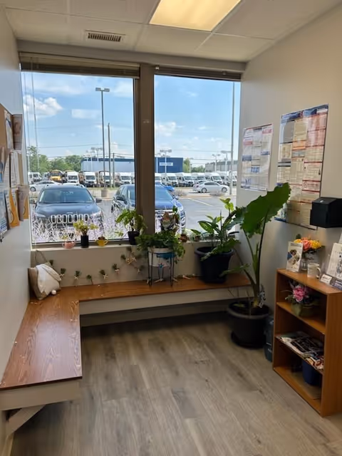 Indoor waiting area with bench, plants, and a view of parked cars outside.