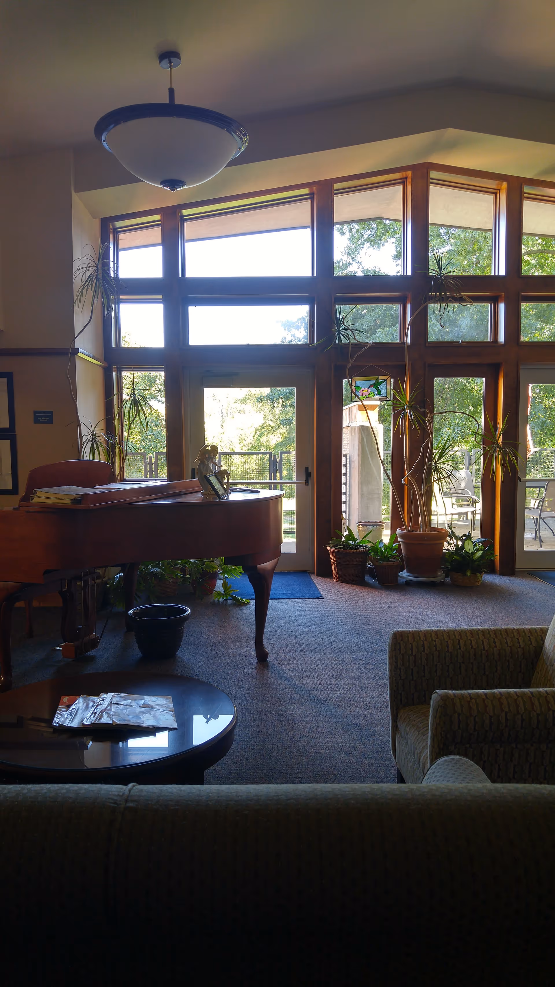 Living room lounge with grand piano, large windows, and potted plants.