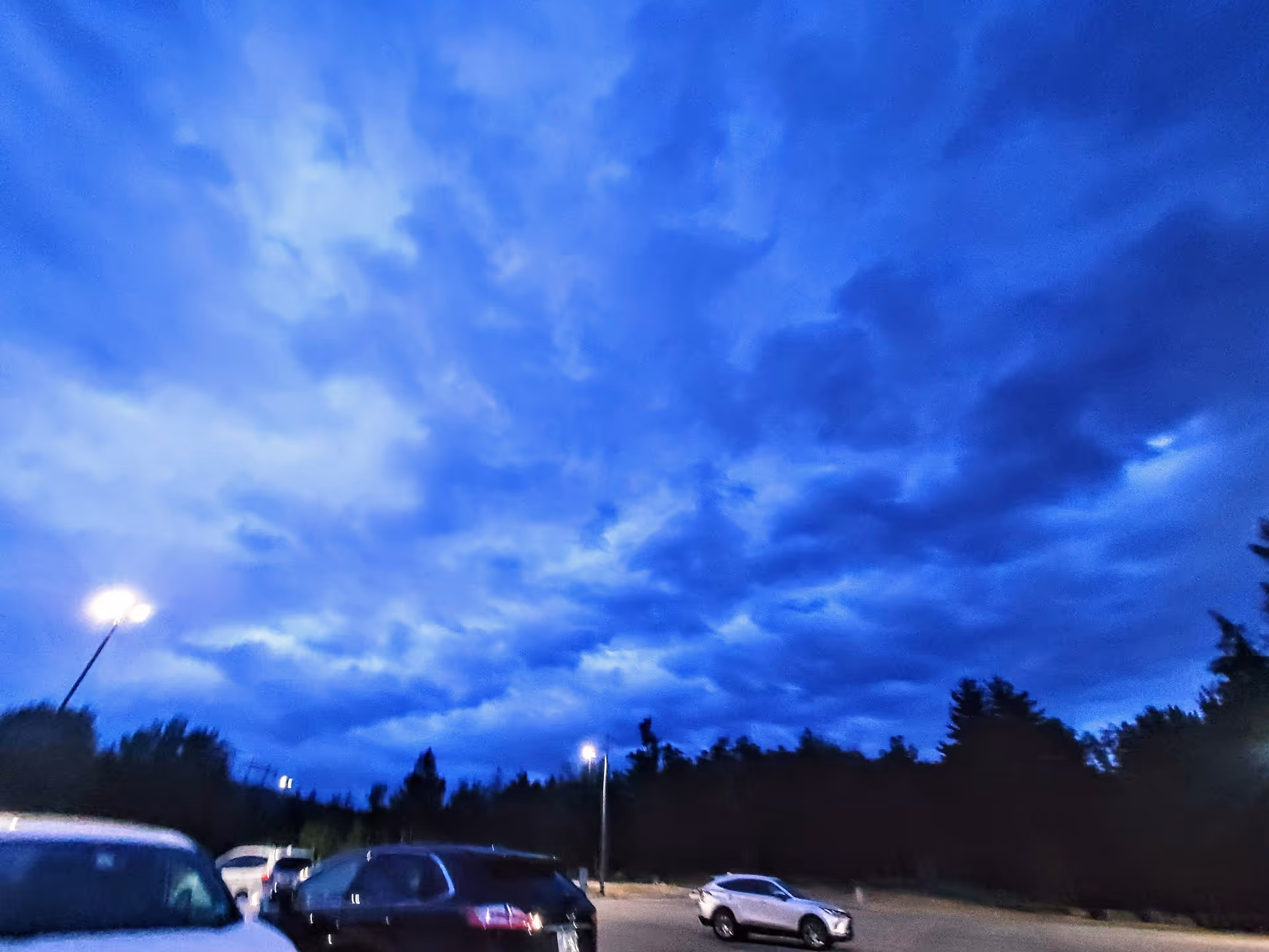 Evening blue sky over a parking lot with cars and trees.
