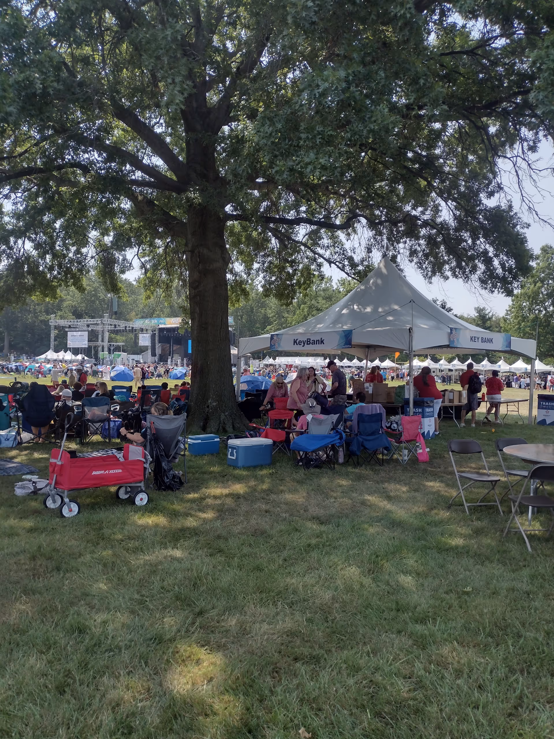 Outdoor festival scene with tents, chairs, and people gathered under a large tree.
