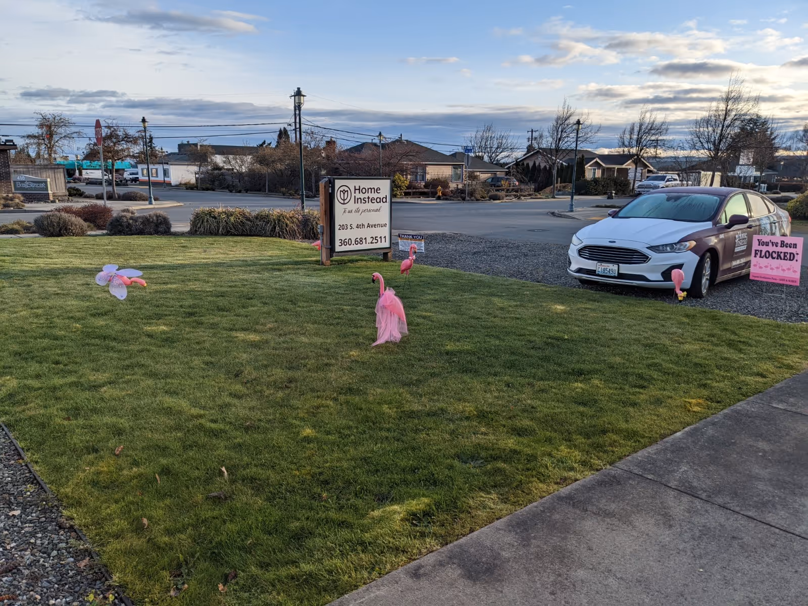 Outdoor lawn of Home Instead with sign, car, and pink flamingo decorations.