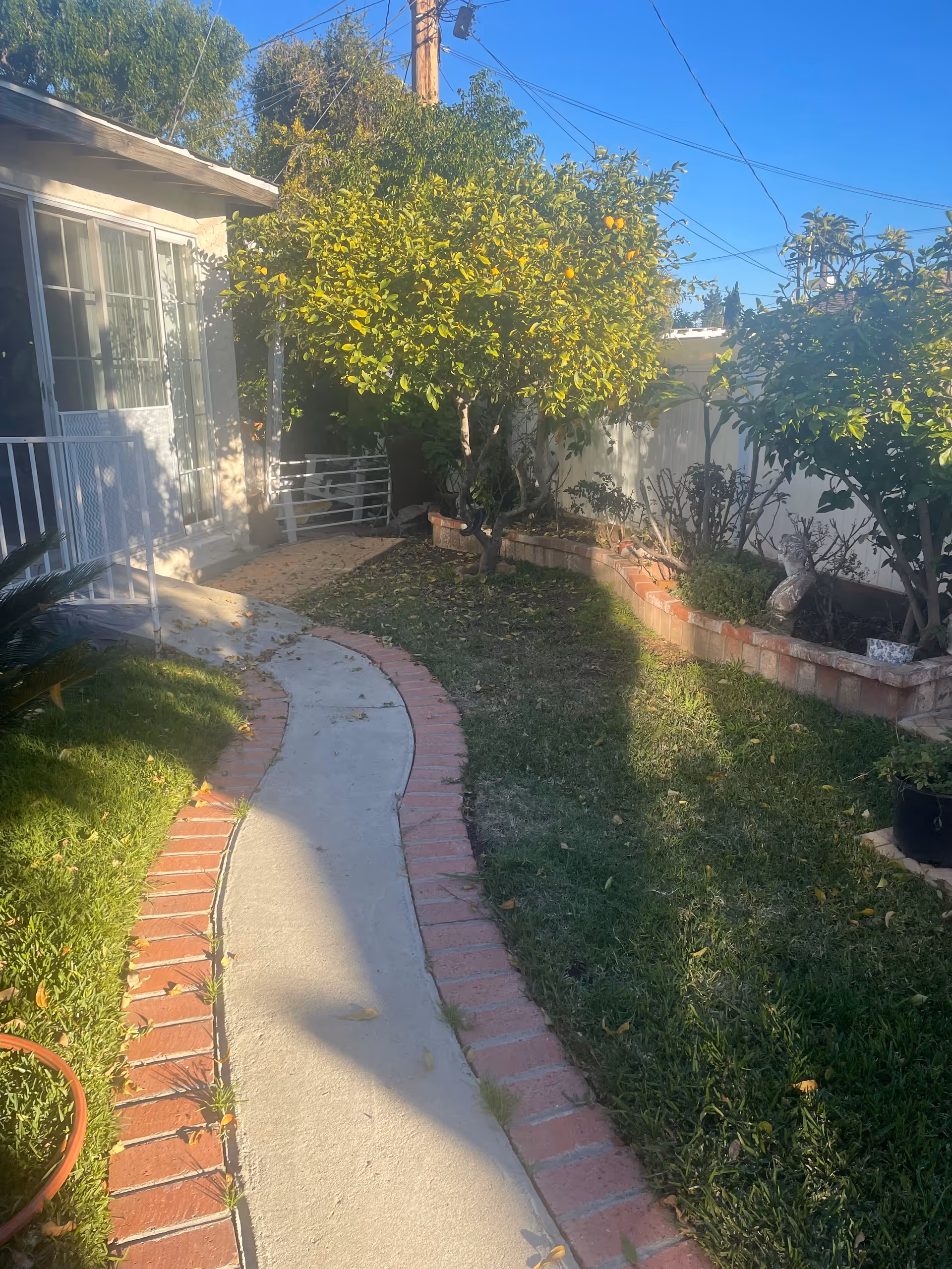 Sunny residential garden with brick path beside a house exterior