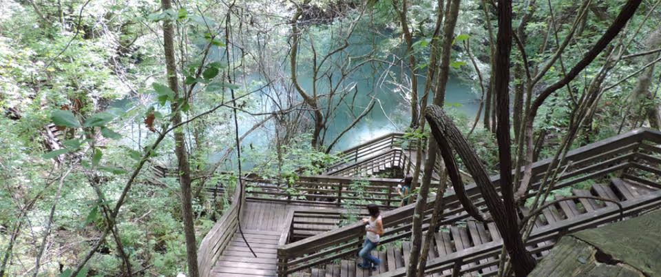 A wooden winding staircase among lush trees with a person walking downward.
