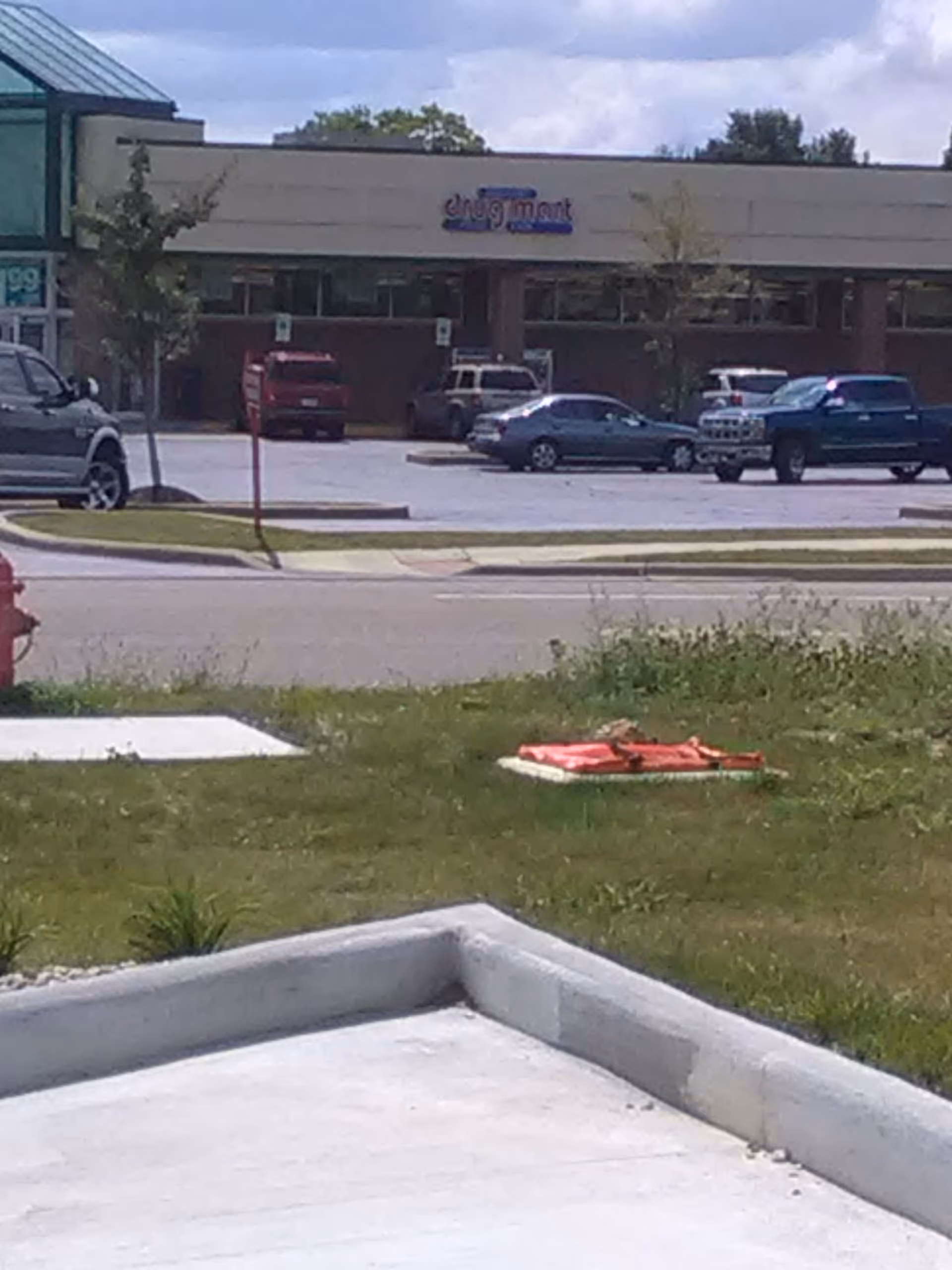 Exterior view of Discount Drug Mart storefront with parked cars.