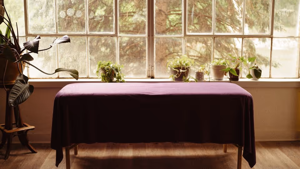 Sunlit interior with a purple-covered table by a window and plants.