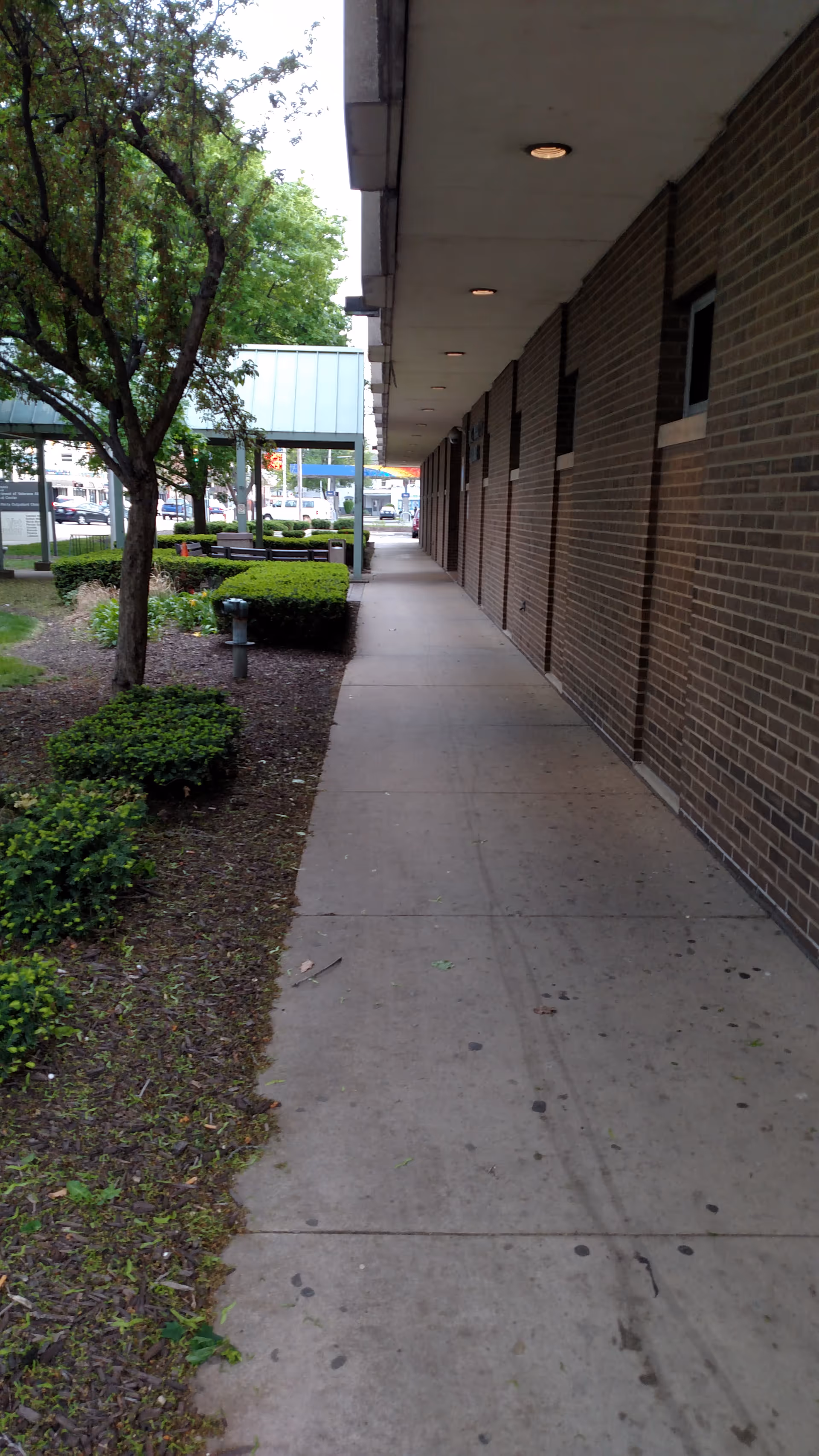 Exterior sidewalk along a brick building with trees and landscaped greenery.