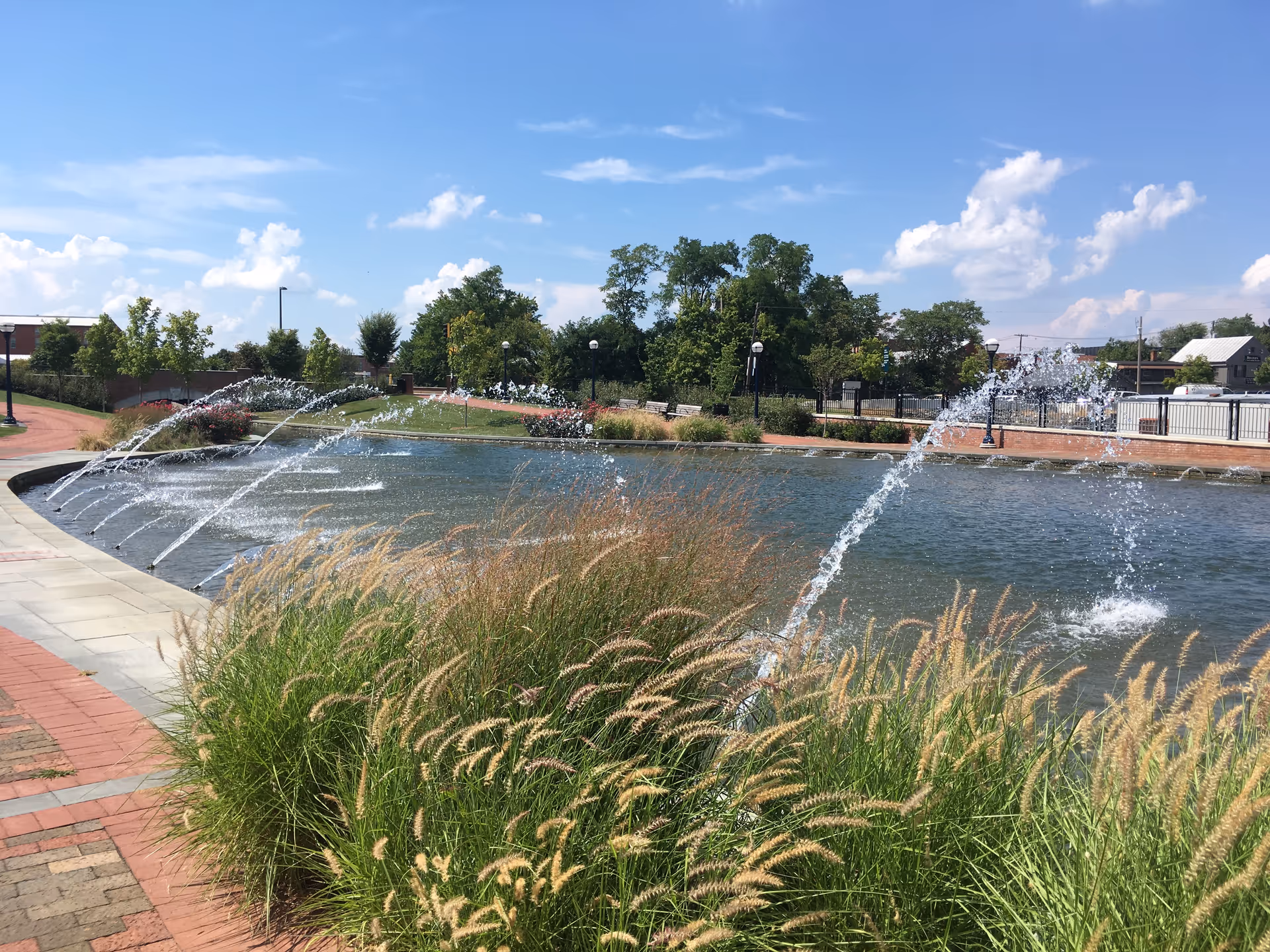 A landscaped outdoor pond area with fountains, tall grasses, and a brick walkway.