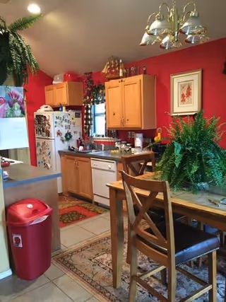 Cozy kitchen and dining area with wooden cabinets, plants, and a red wall.