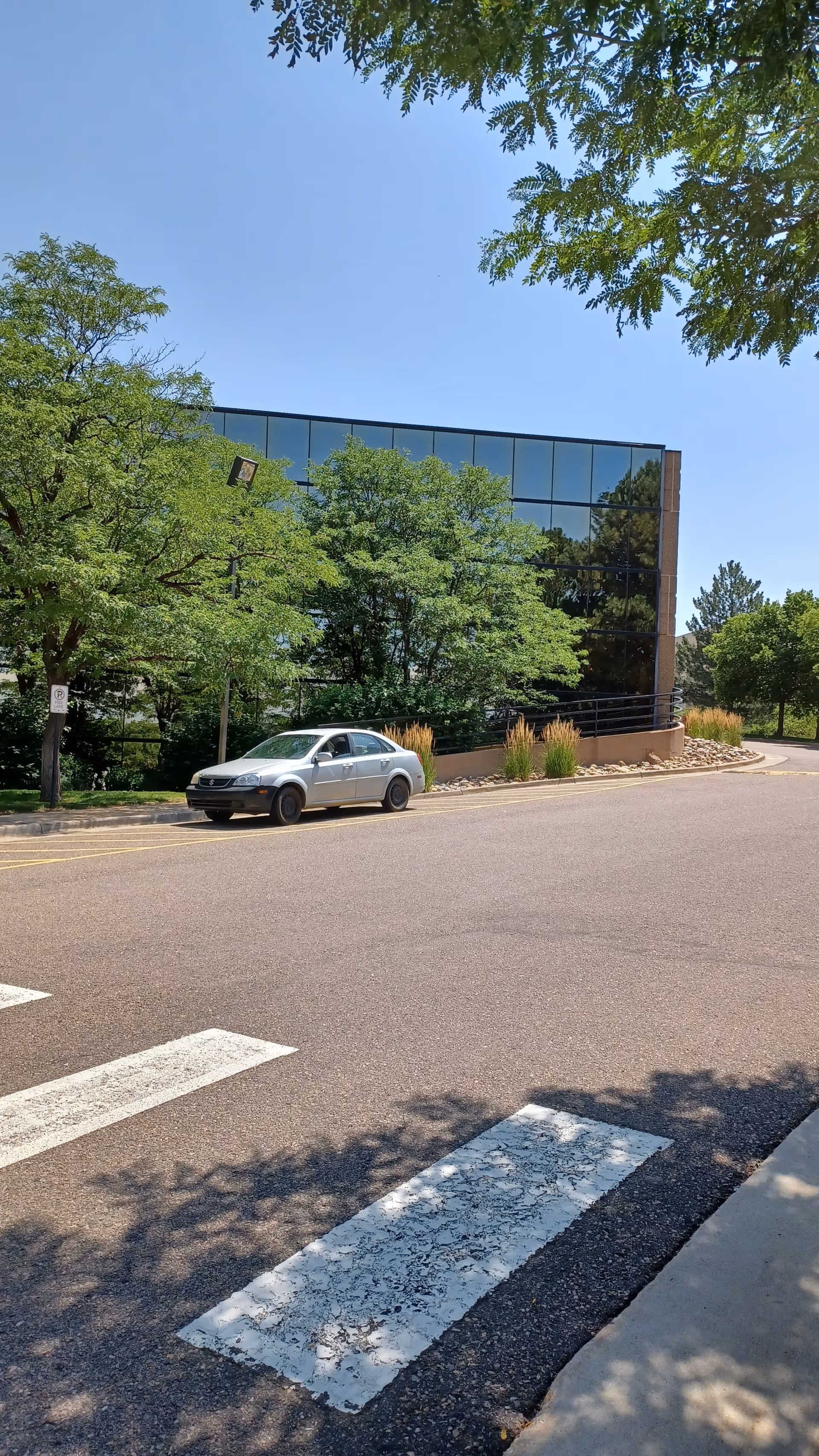 Glass-front building exterior with trees, a parked car, and a crosswalk.