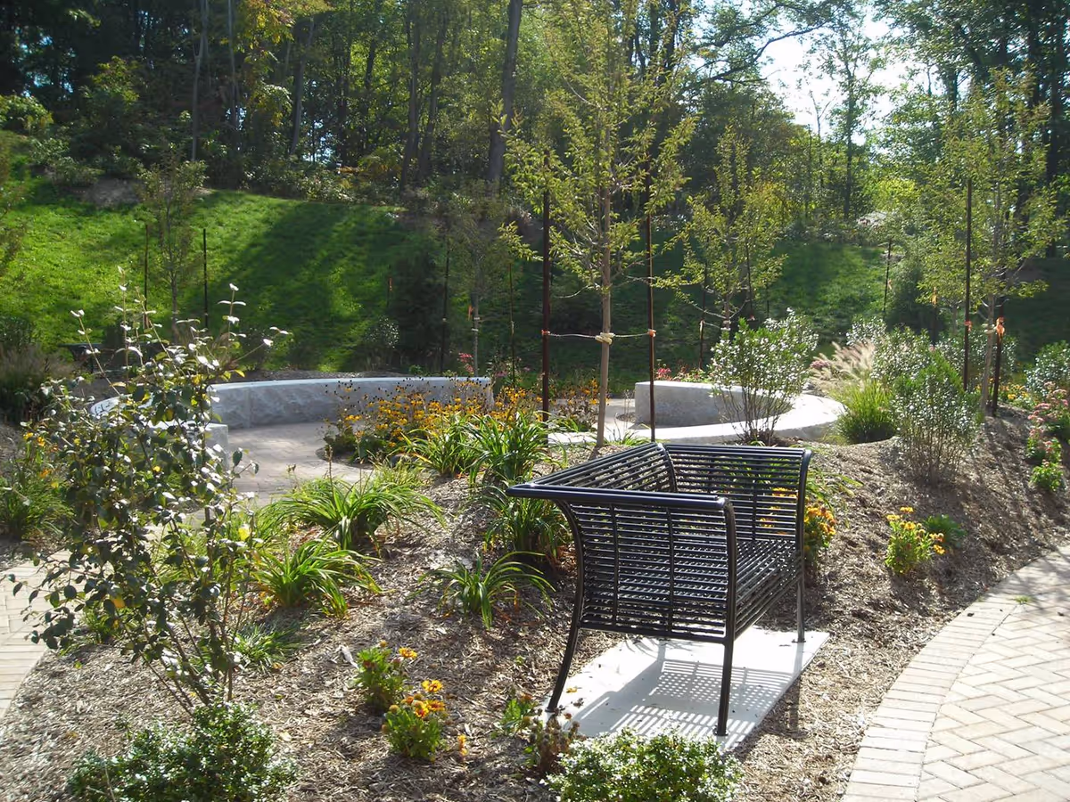 An outdoor garden with a black metal bench and landscaped shrubs.