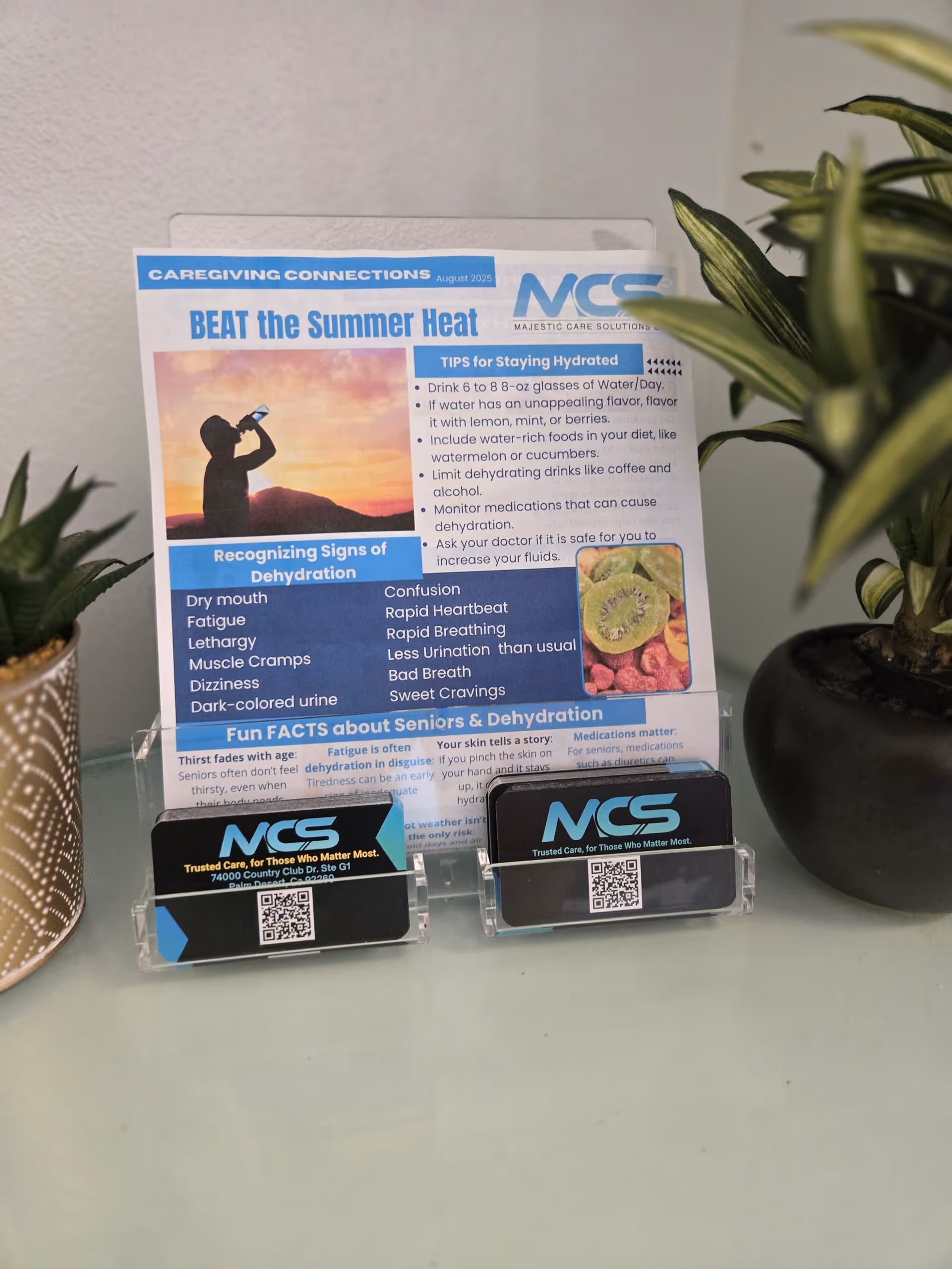 A brochure display with an MCS flyer on a desk beside two potted plants.
