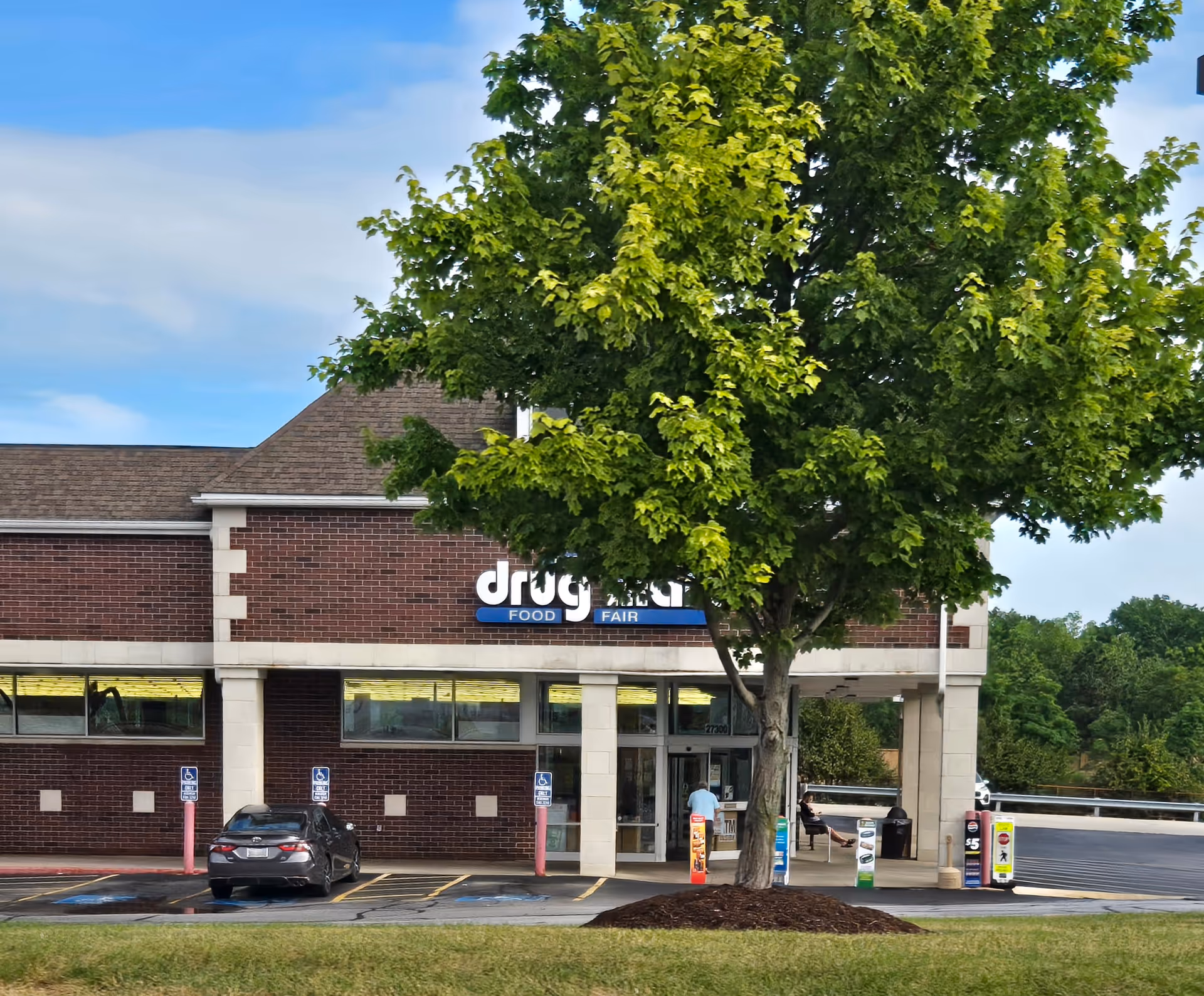 Brick storefront of Discount Drug Mart with a tree in foreground and parking lot.