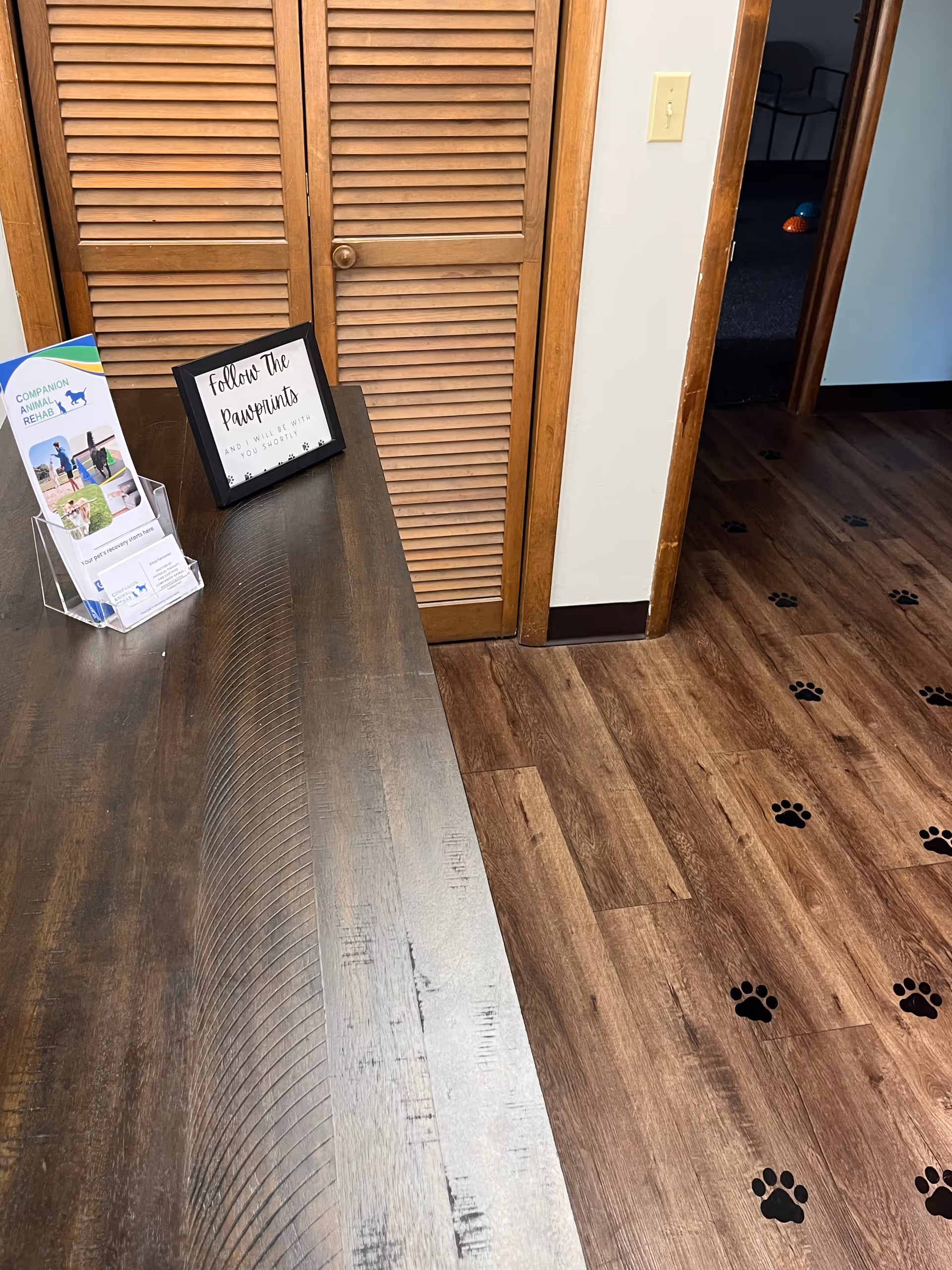Reception area with wooden counter, brochure stand, sign, and paw-print floor decals.