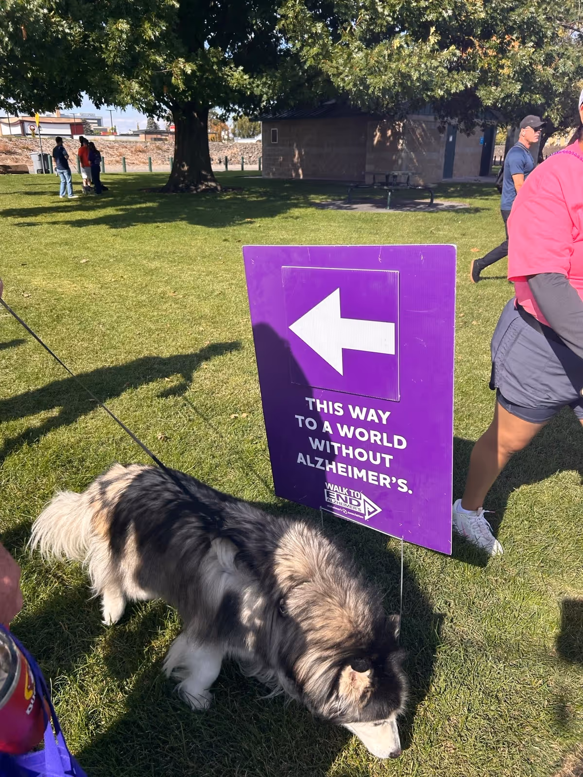 A dog and people near a purple Alzheimer's awareness sign on a grassy outdoor area.